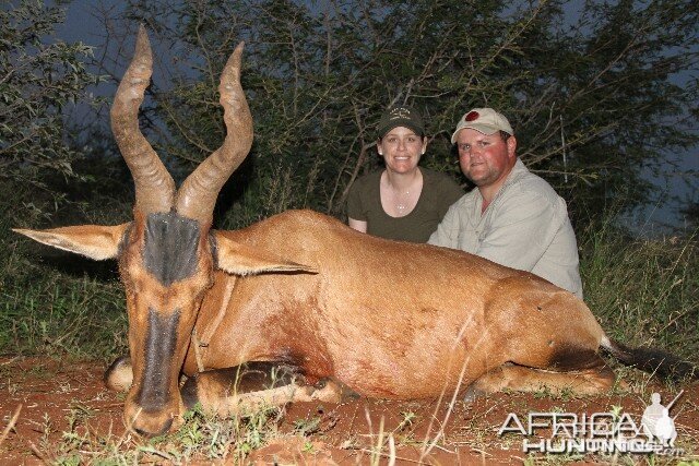 Hartebeest