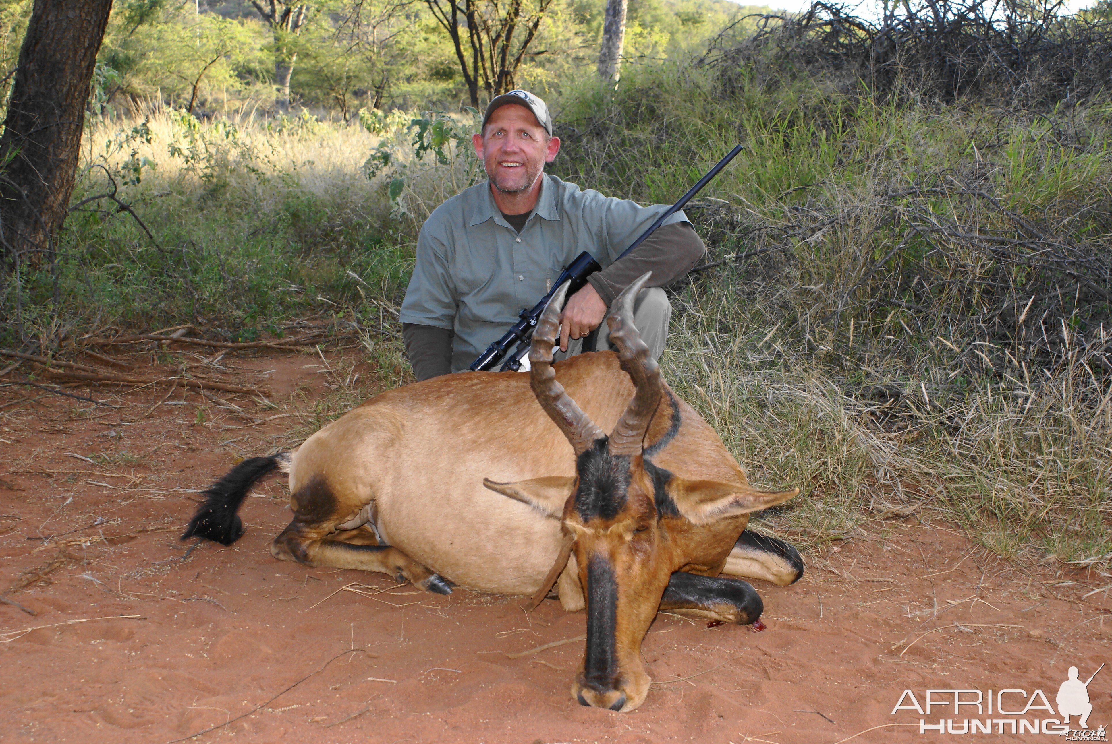 Hartebeest