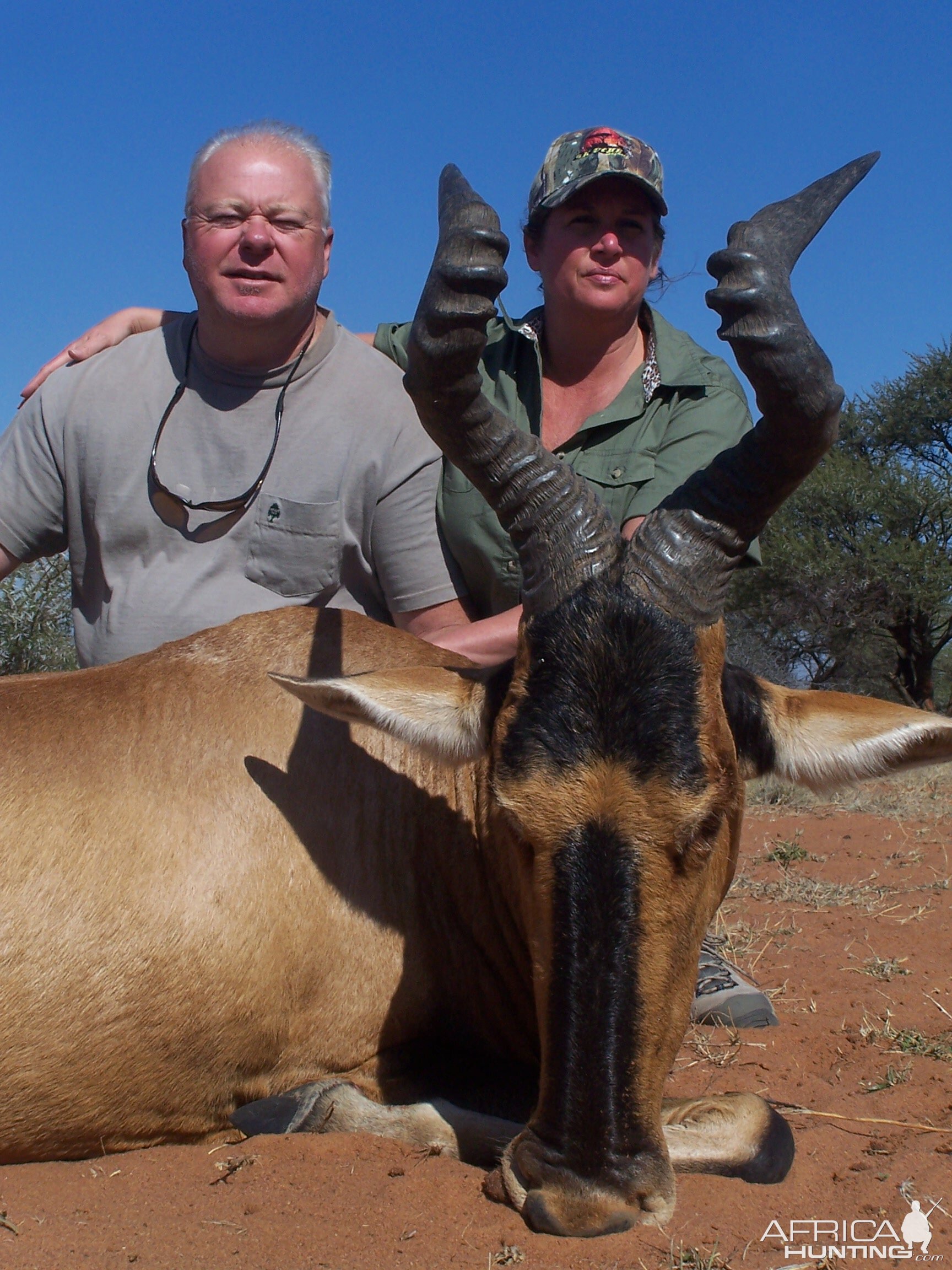 Hartebeest