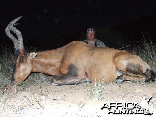 Hartebeest