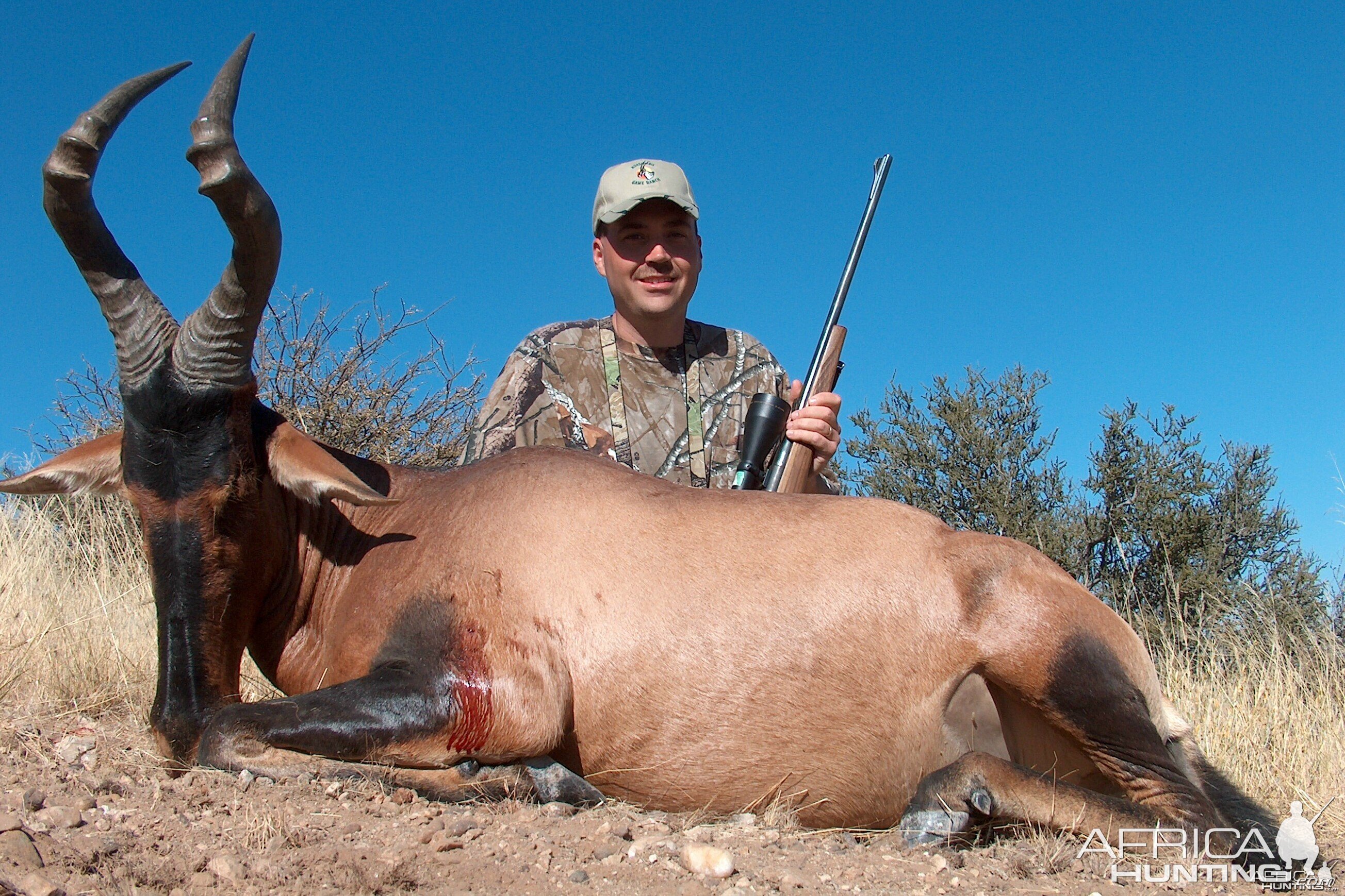 Hartebeest