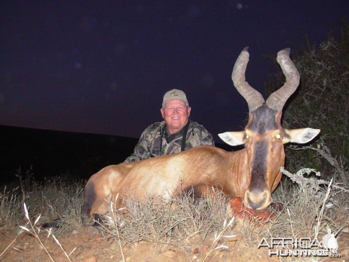 Hartebeest