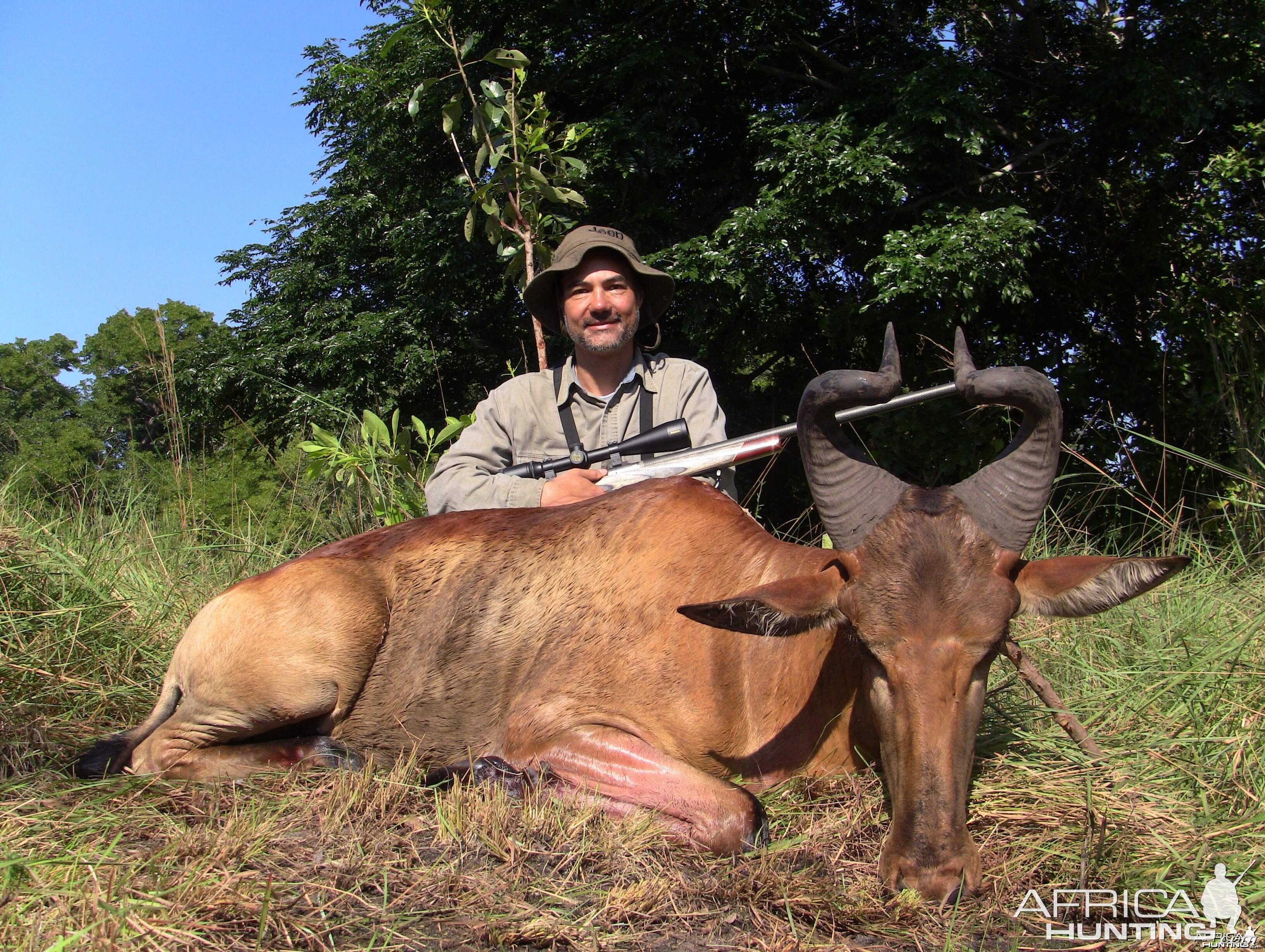 Hartebeest