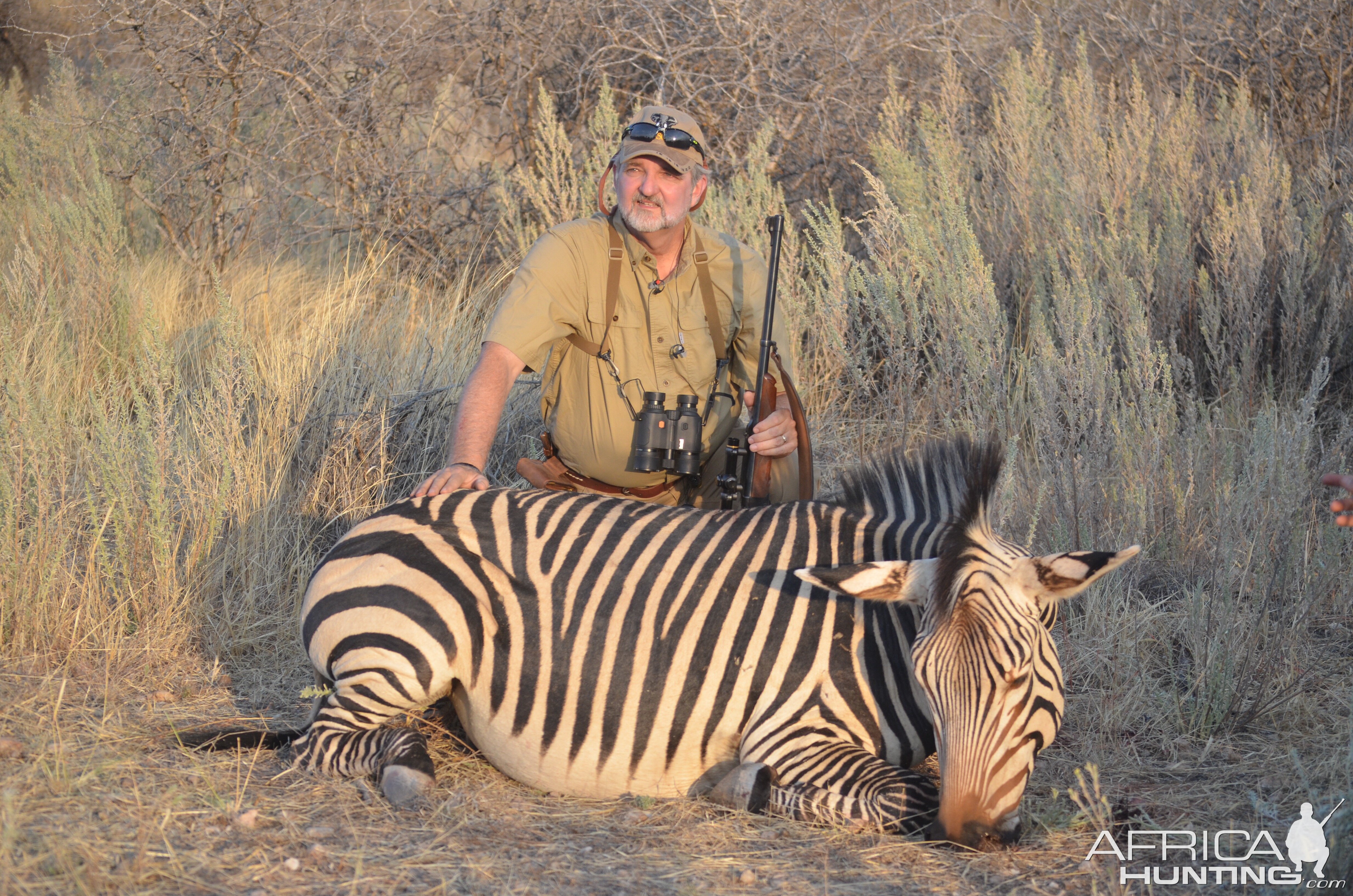 Hartmann’s Mountain Zebra Hunt Namibia