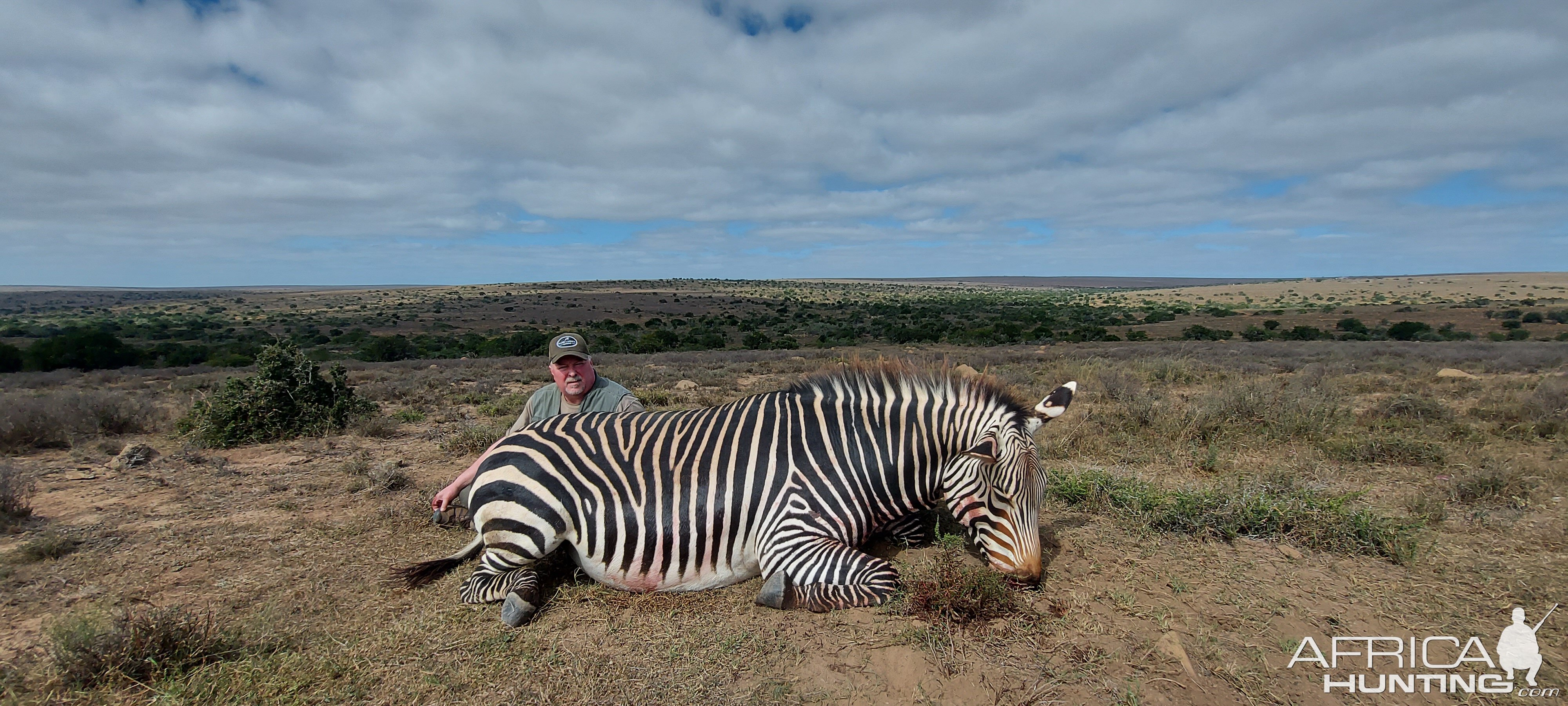 Hartmann’s Mountain Zebra Hunting South Africa