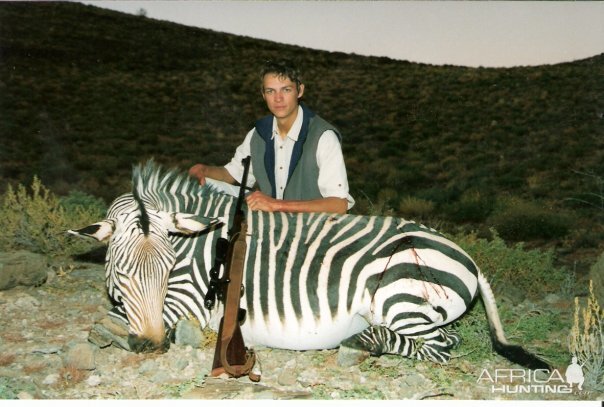 Hartmann Zebra, Namibia