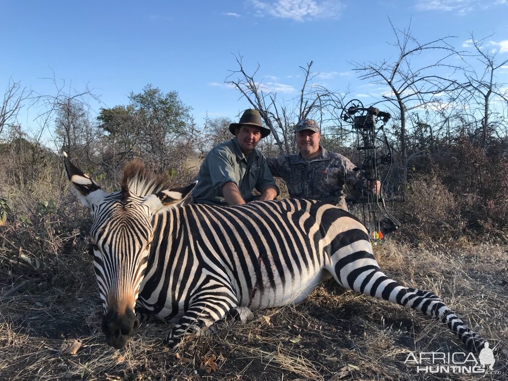 Hartmann's Mountain Zebra Bow Hunt Namibia