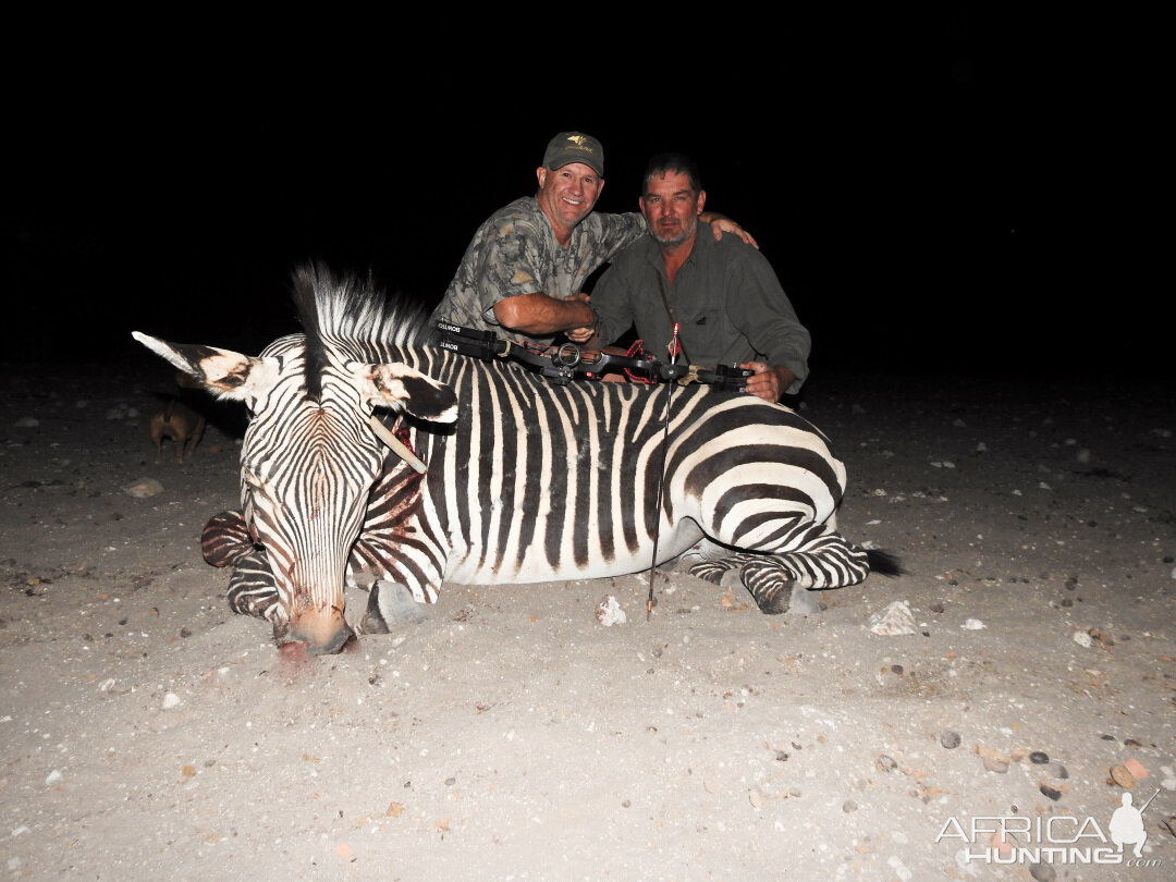 Hartmann's Mountain Zebra Bow Hunting