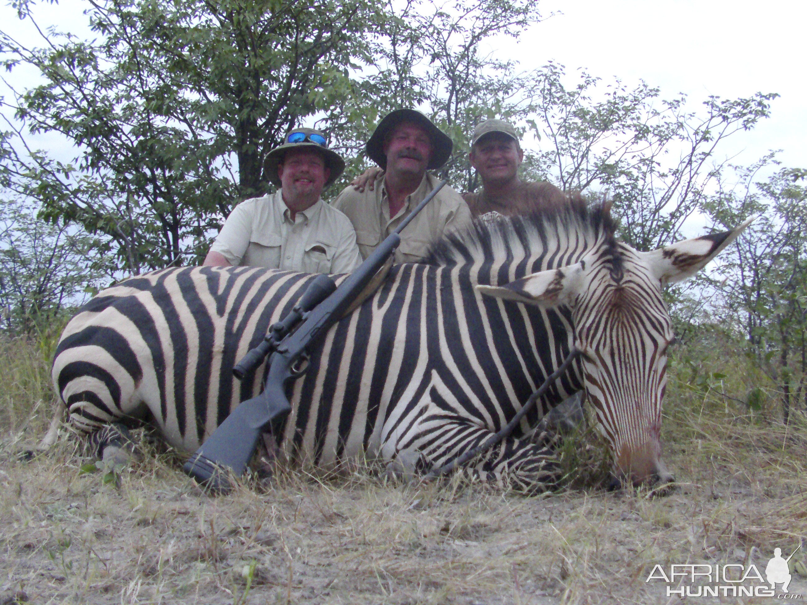 Hartmann's Mountain Zebra Hunt in Namibia