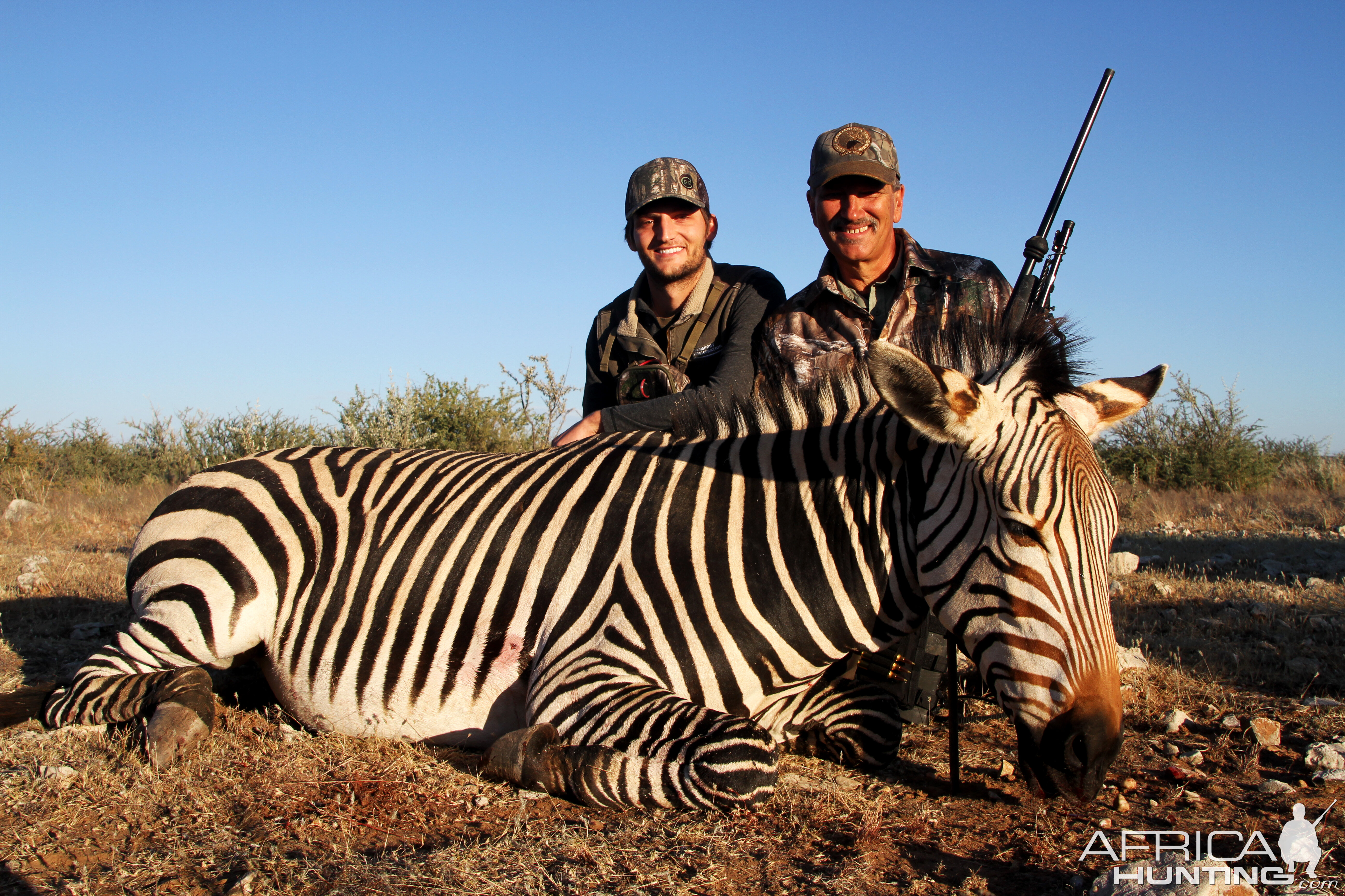 Hartmann's Mountain Zebra Hunt in Namibia