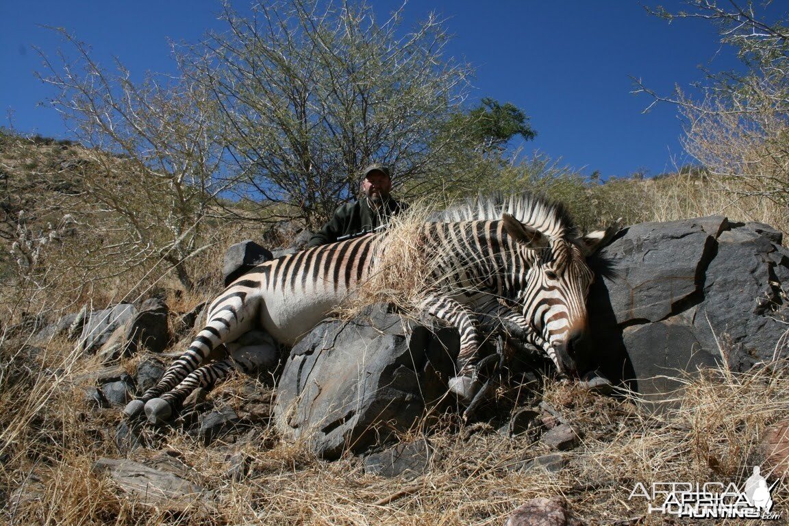 Hartmann's Mountain Zebra hunt in Namibia