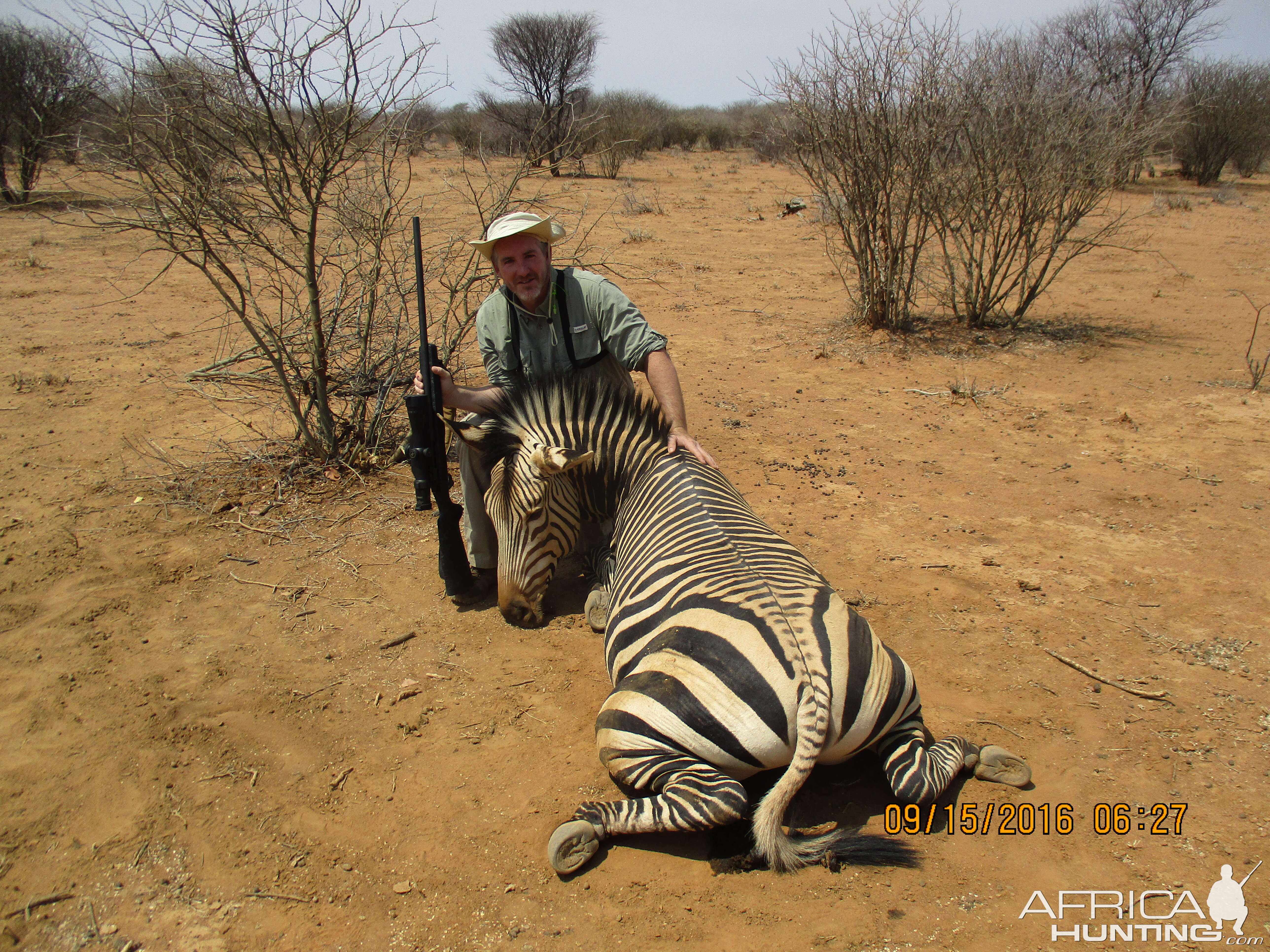 Hartmann's Mountain Zebra Hunt Namibia