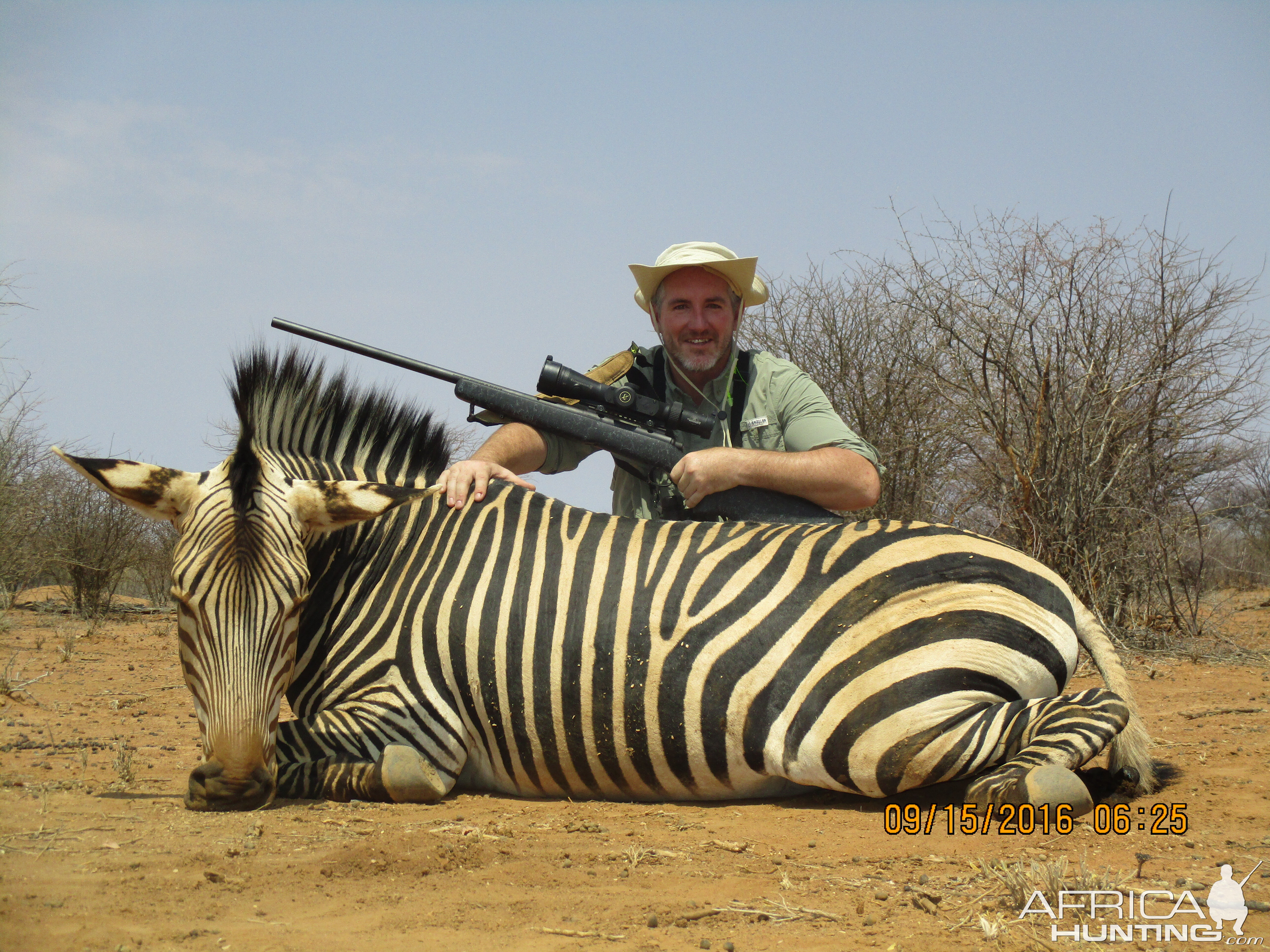 Hartmann's Mountain Zebra Hunt Namibia