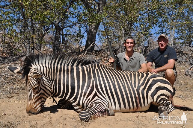 Hartmann's mountain Zebra Hunt Namibia