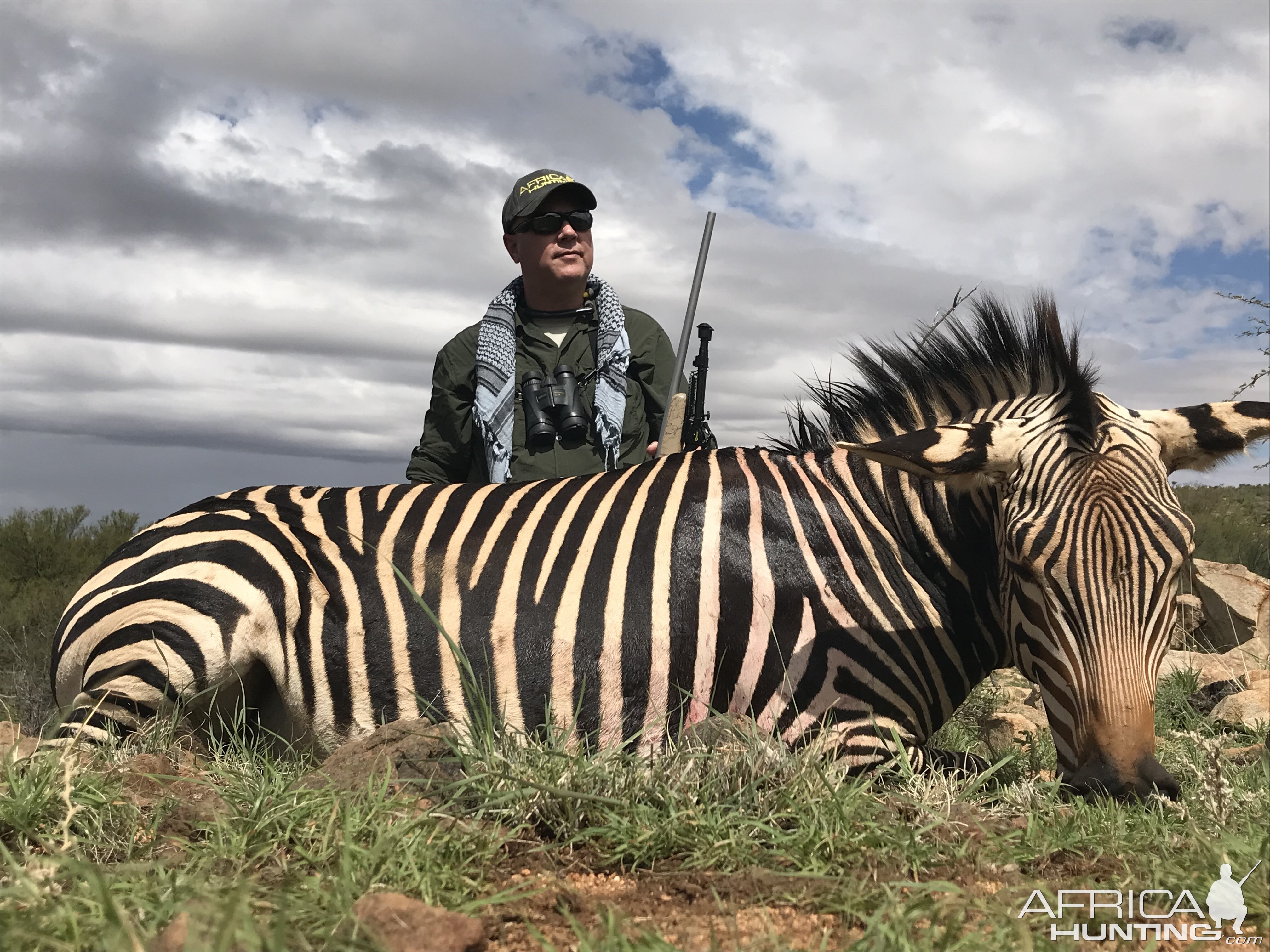 Hartmann's Mountain Zebra Hunt Namibia