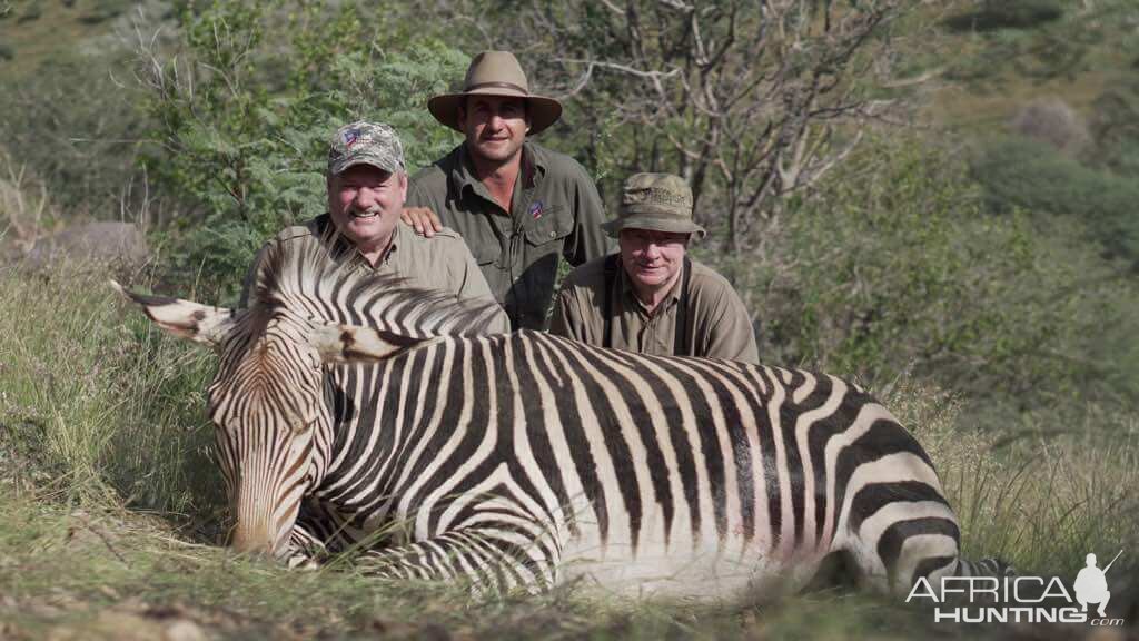 Hartmann's Mountain Zebra Hunt Namibia