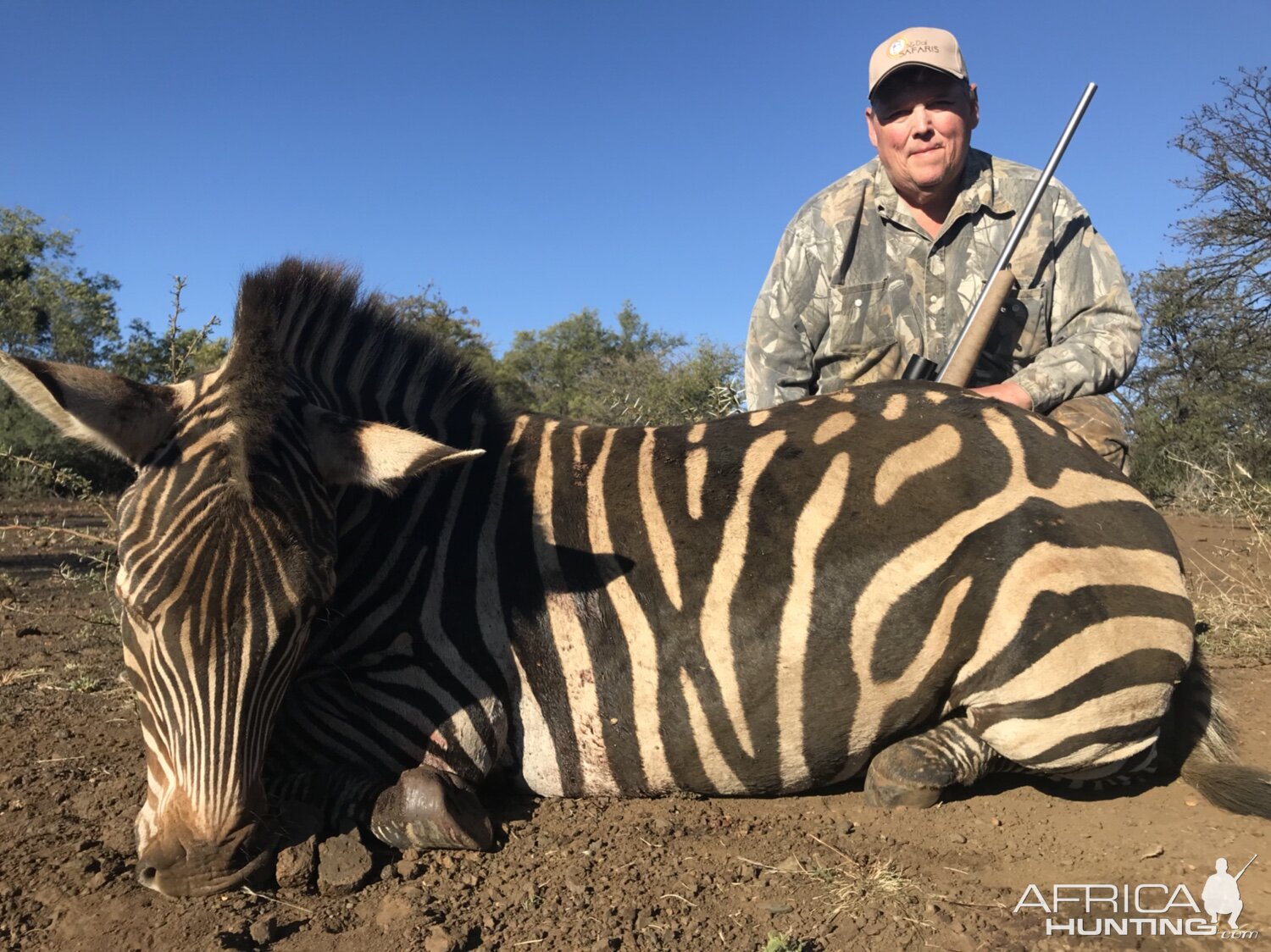 Hartmann's Mountain Zebra Hunt South Africa