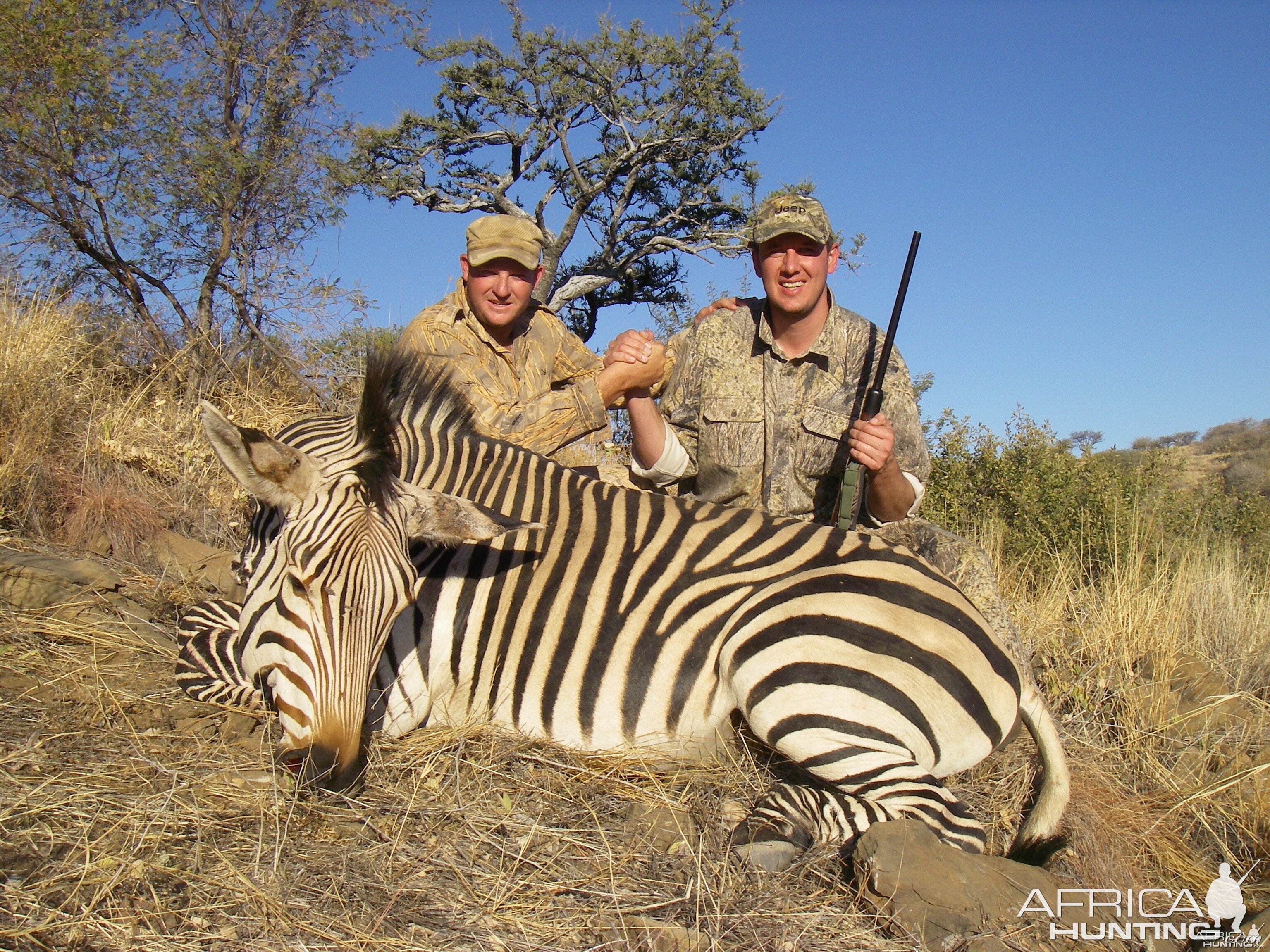 Hartmann's Mountain Zebra Hunt