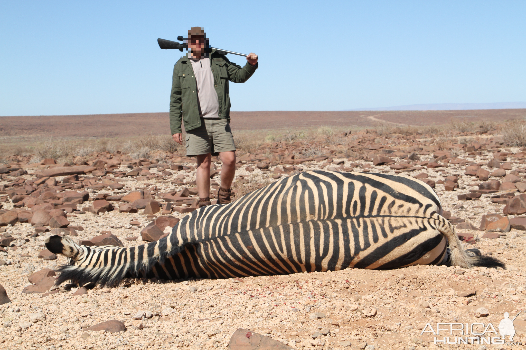 Hartmann's Mountain Zebra Hunt