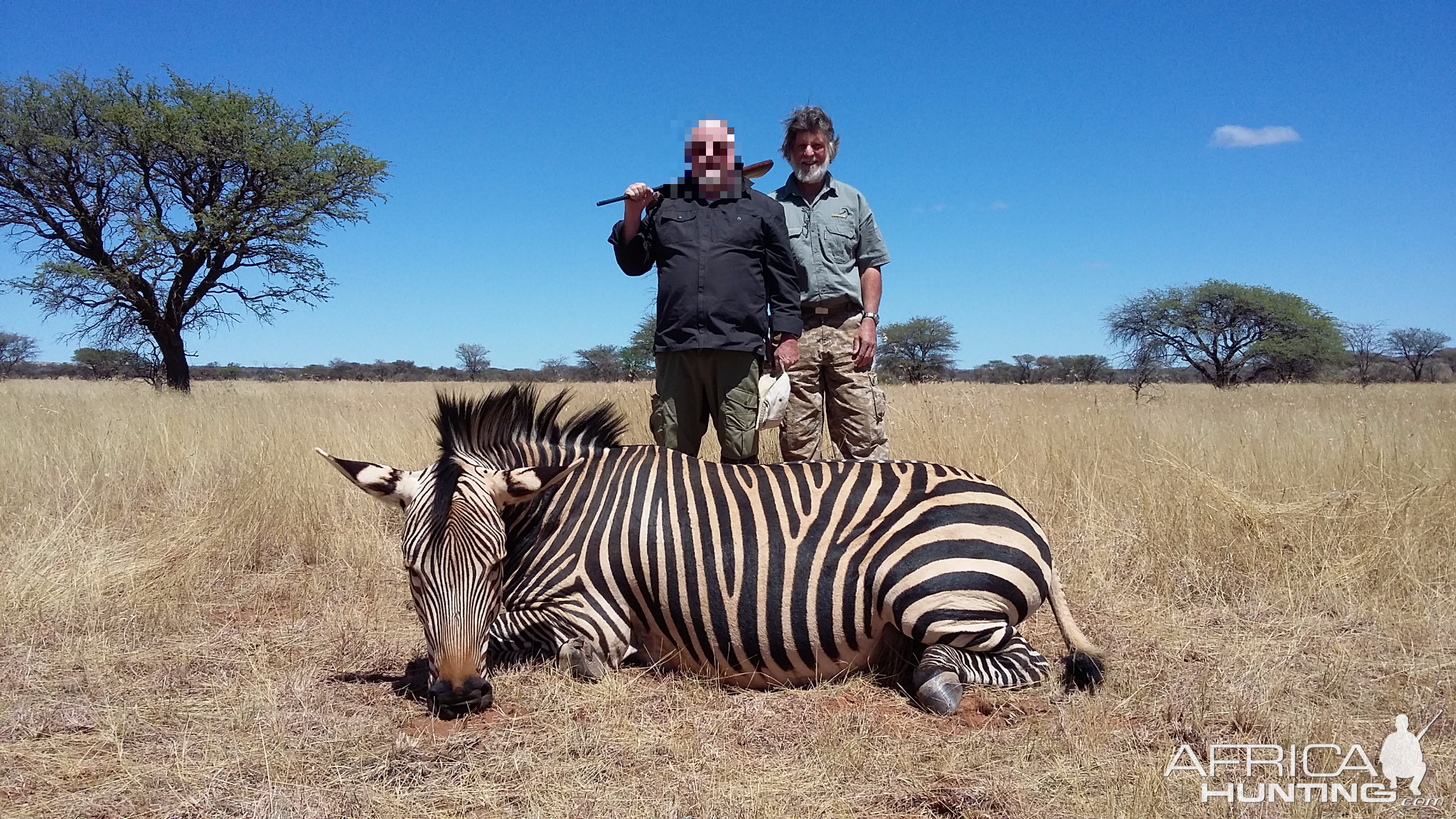 Hartmann's Mountain Zebra Hunt