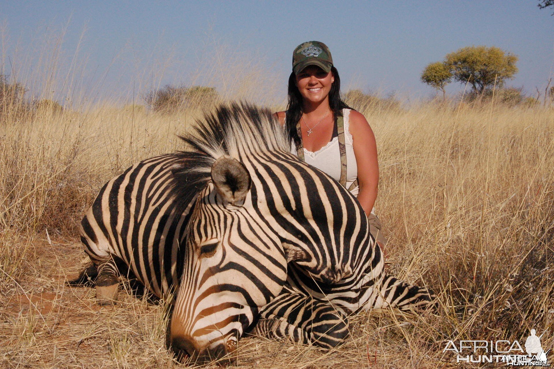 Hartmann's Mountain Zebra hunted in Namibia