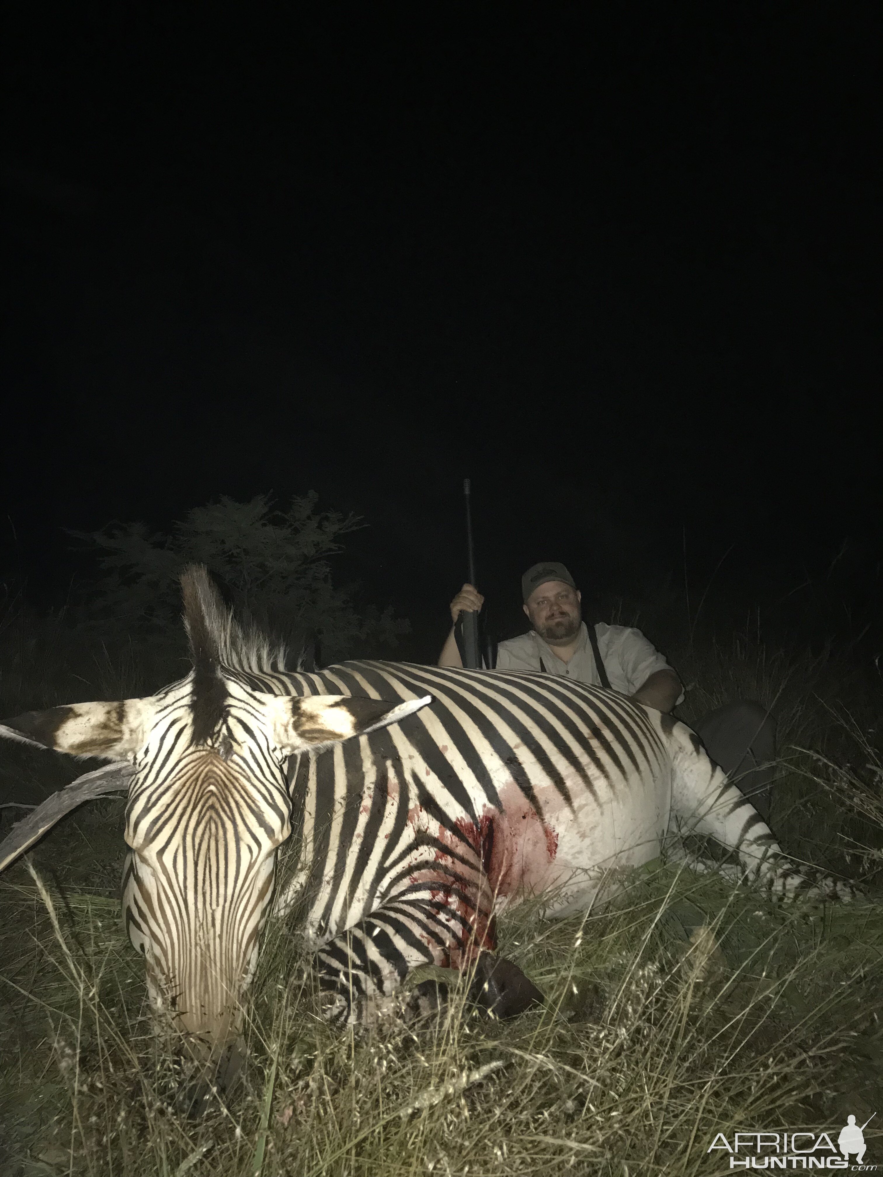 Hartmann's Mountain Zebra Hunting in Namibia