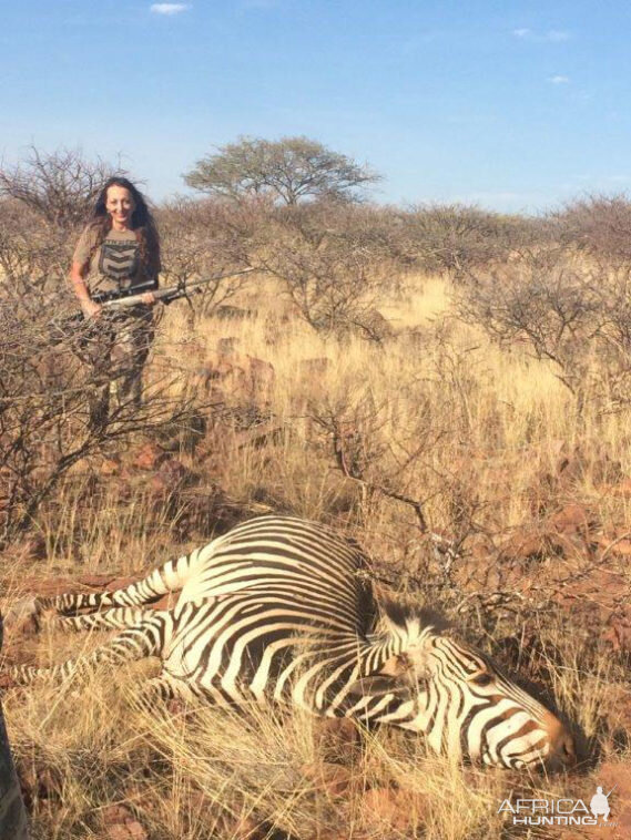 Hartmann's Mountain Zebra Hunting in Namibia