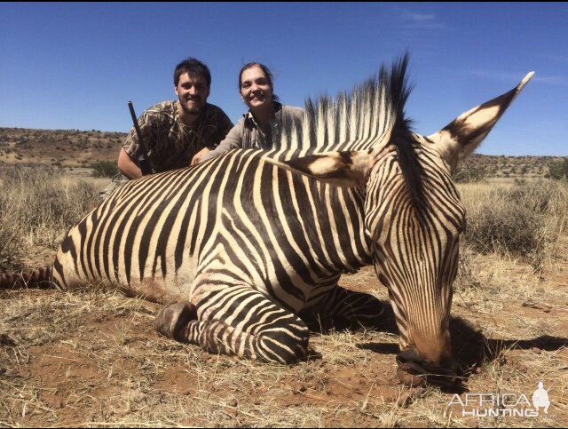 Hartmann's Mountain Zebra Hunting in South Africa