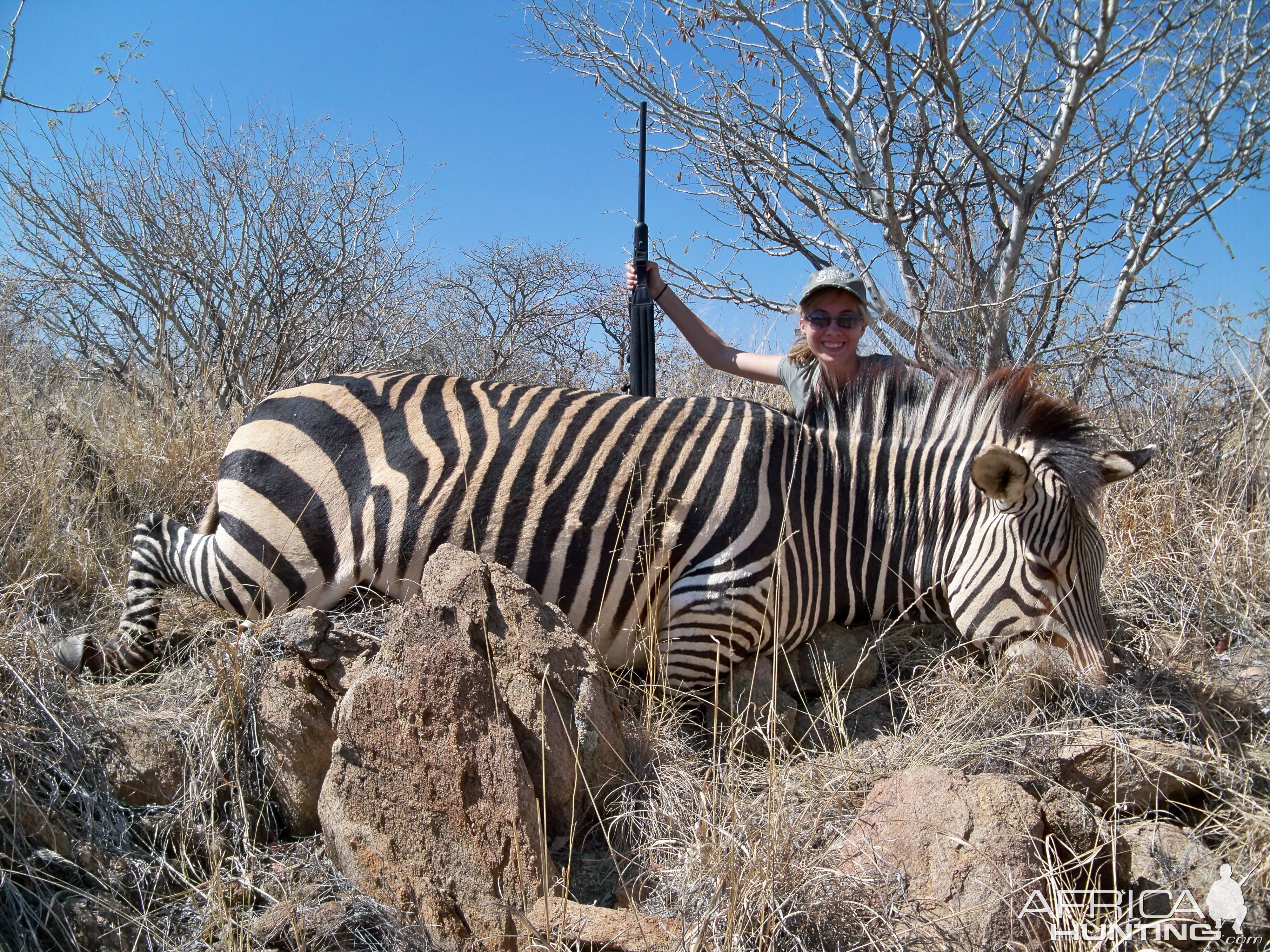 Hartmann's Mountain Zebra Hunting Namibia