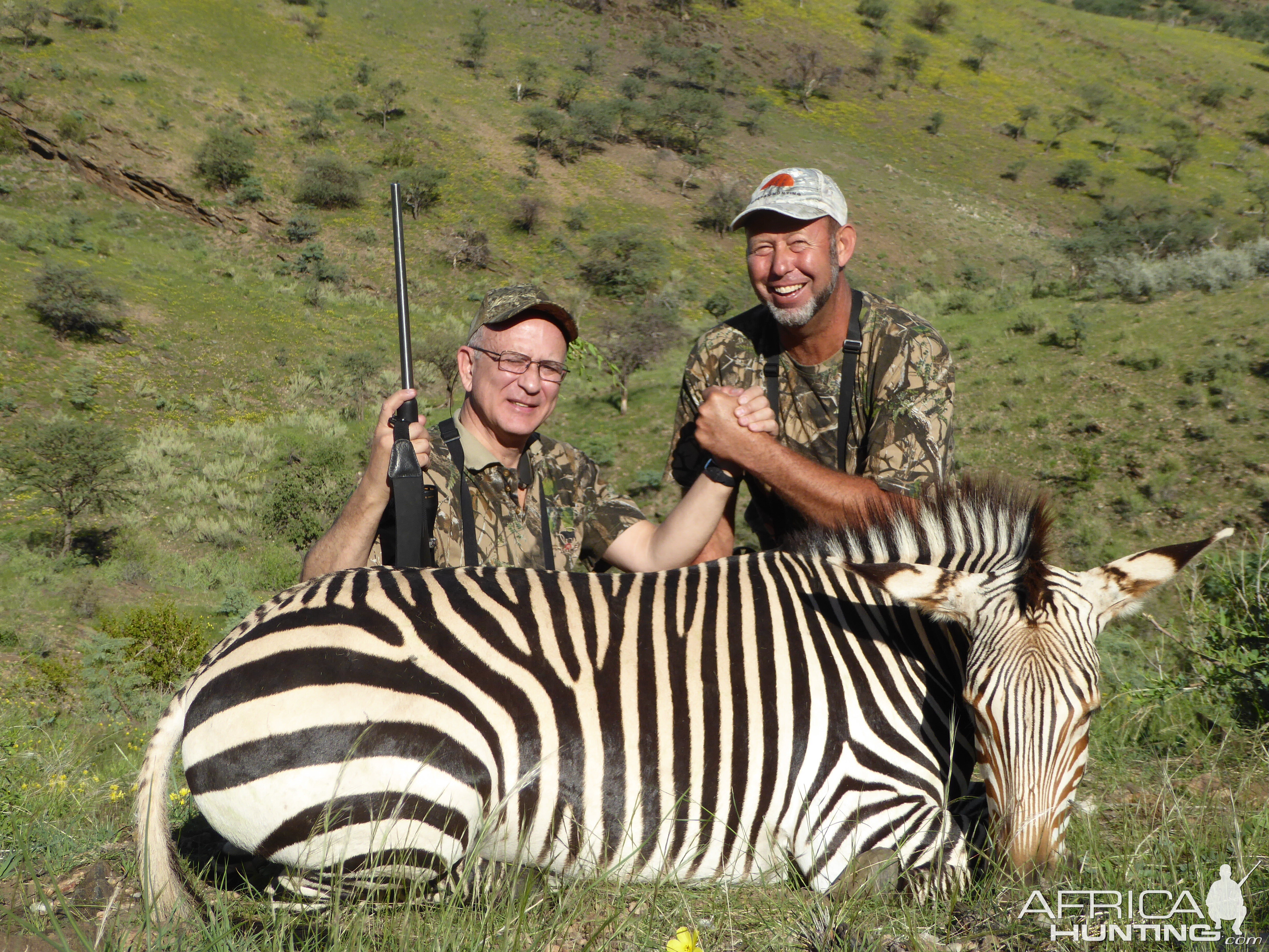 Hartmann's Mountain Zebra Hunting Namibia