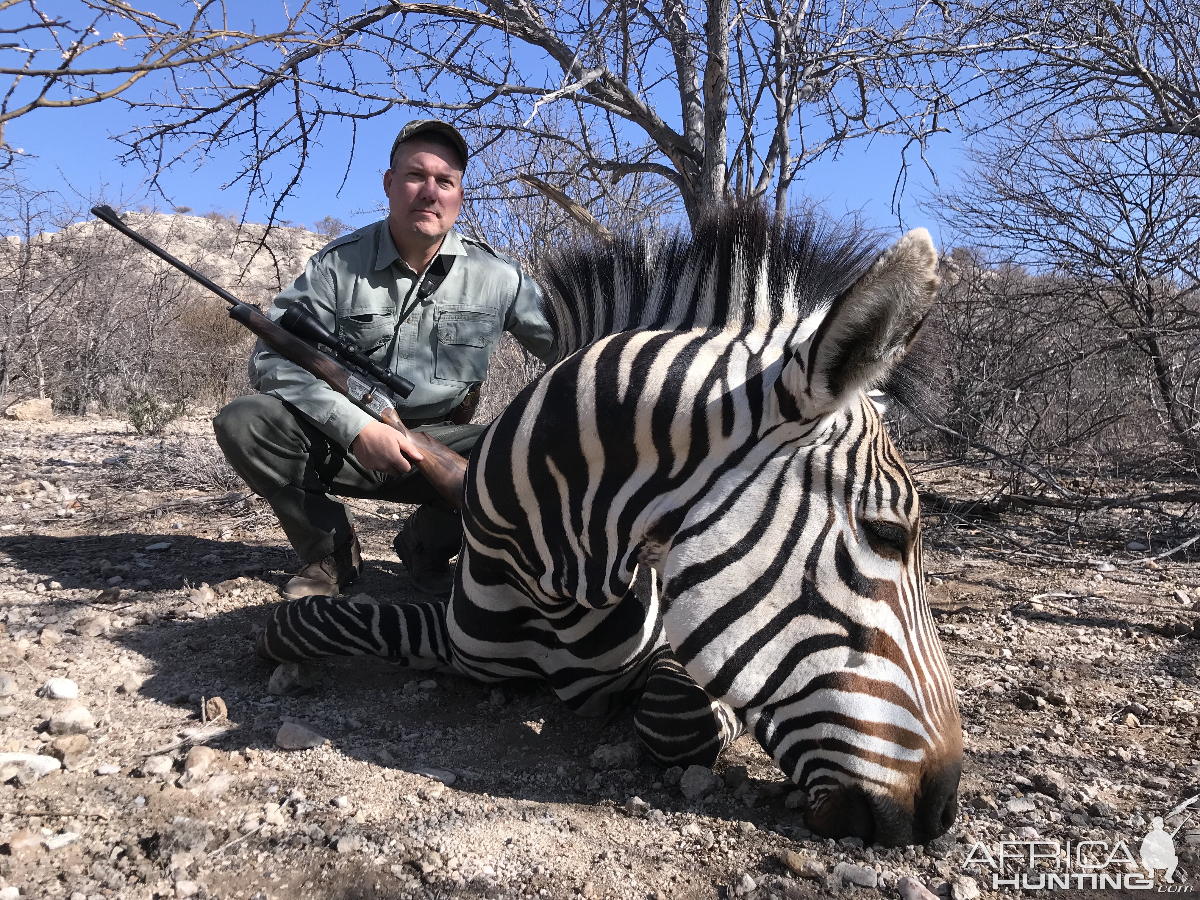 Hartmann's Mountain Zebra Hunting Namibia