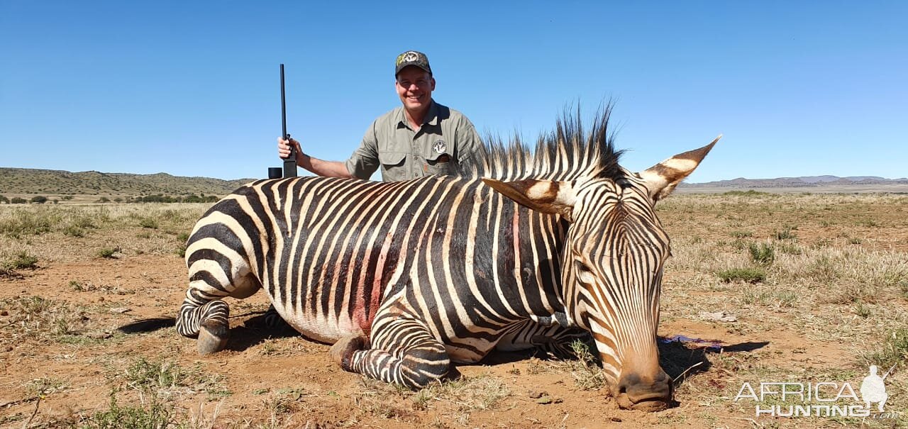 Hartmann's Mountain Zebra Hunting South Africa