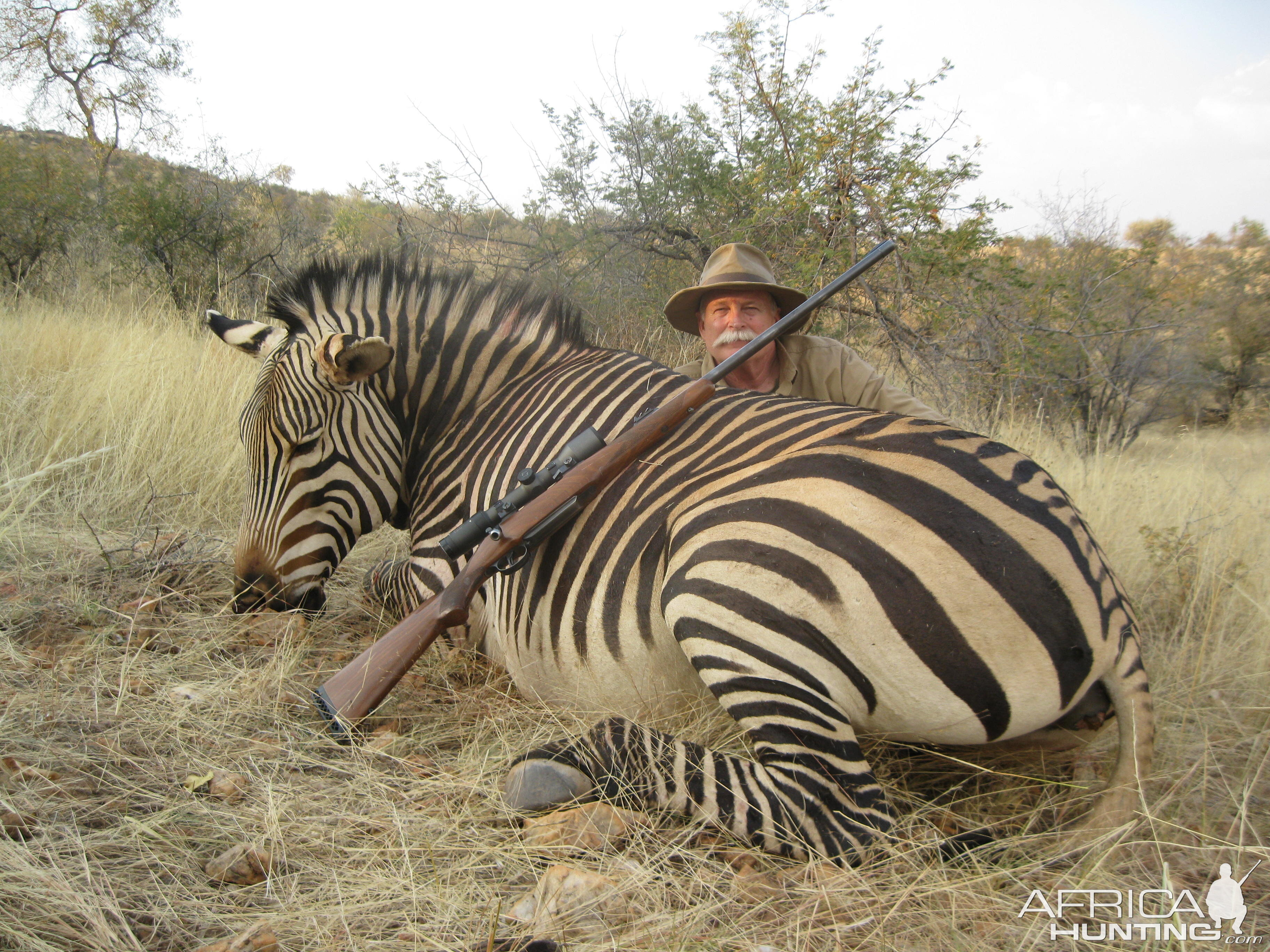 Hartmann's Mountain Zebra Namibia Hunt