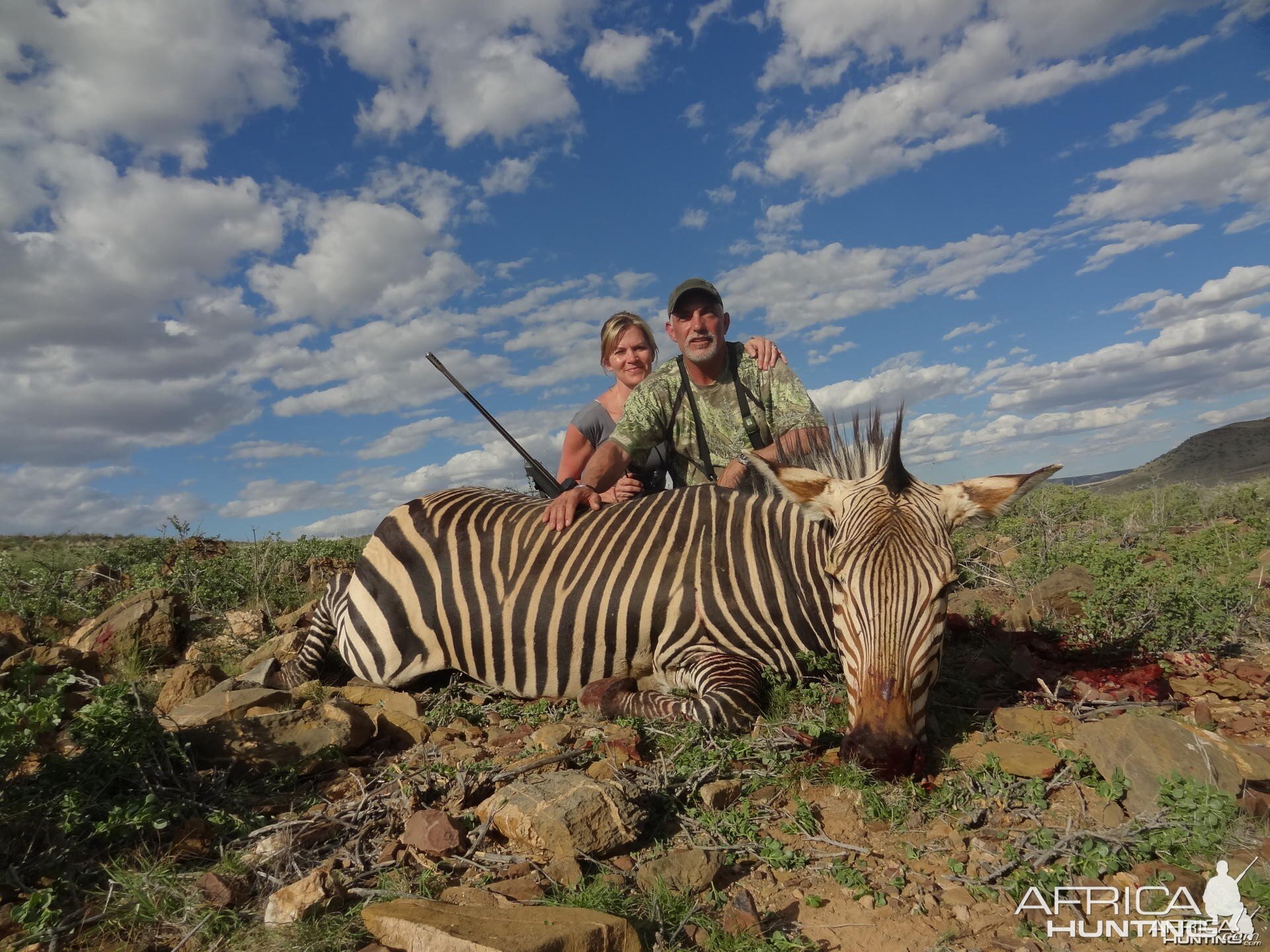 Hartmann's Mountain Zebra Namibia