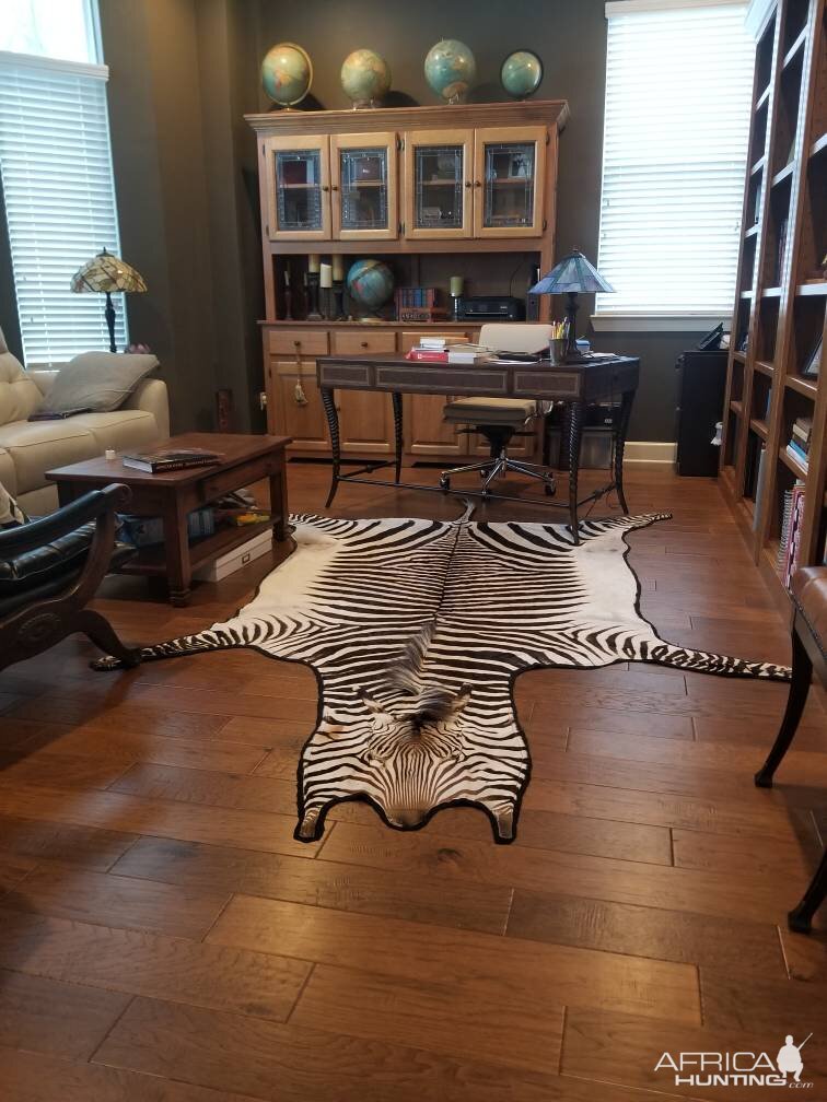 Hartmann's Mountain Zebra Rug