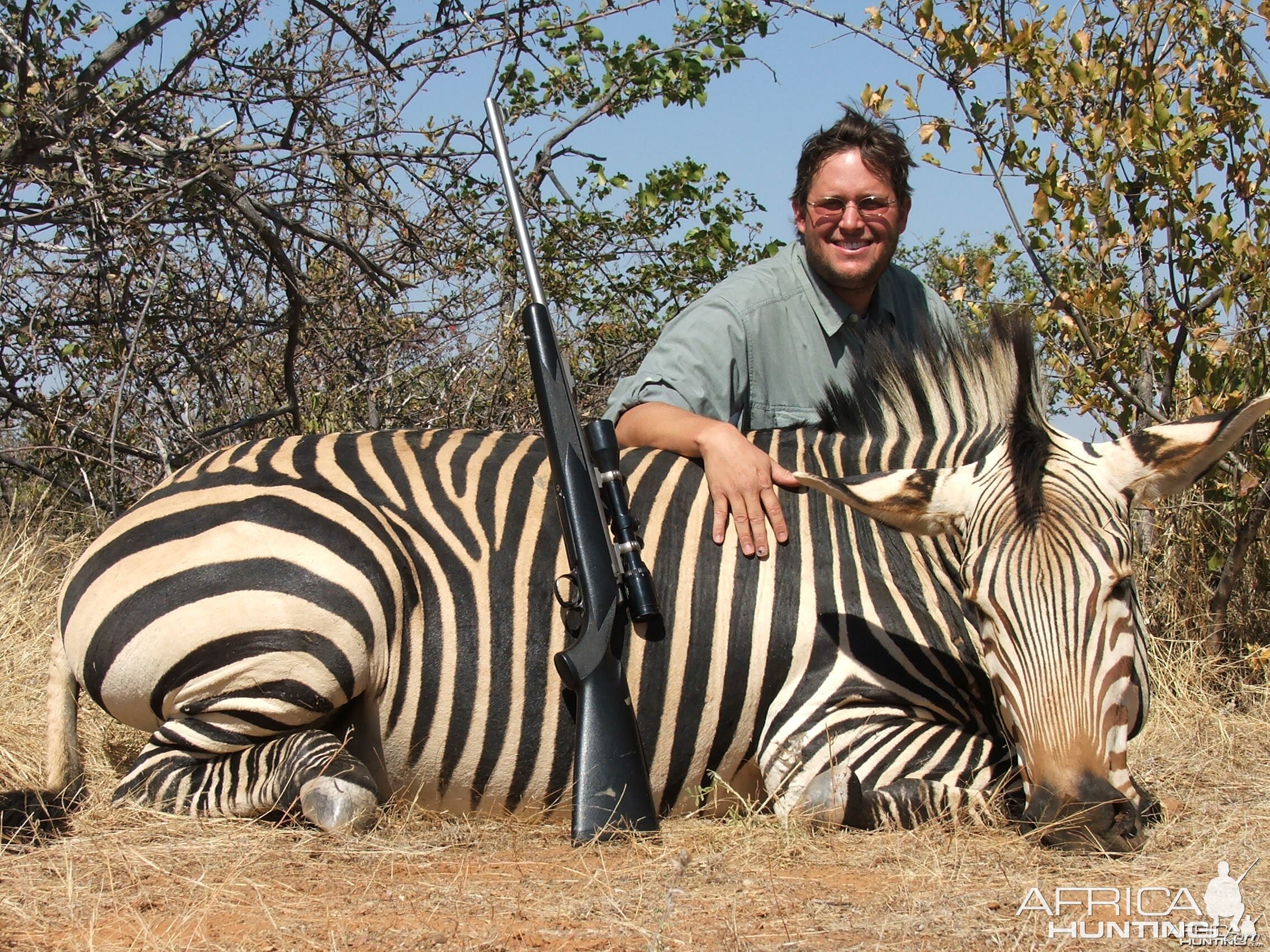 Hartmann's Mountain Zebra