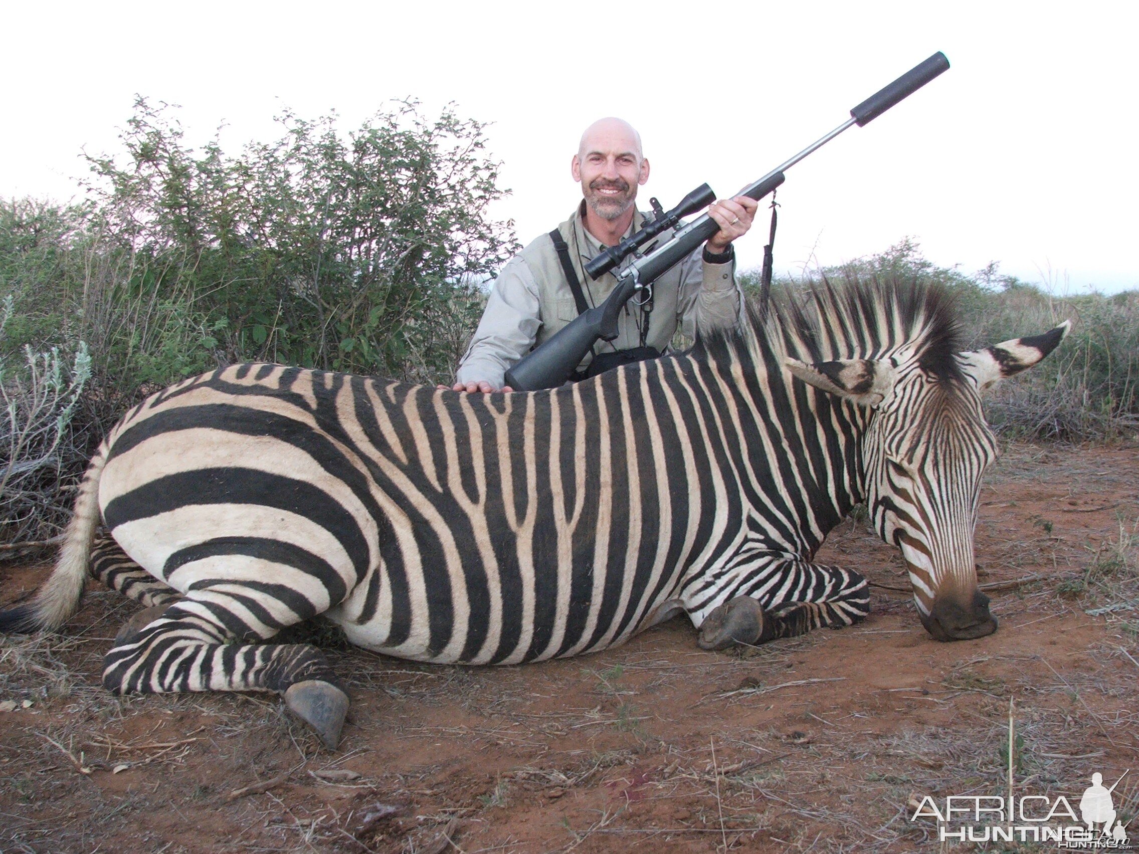 Hartmann's Mountain Zebra