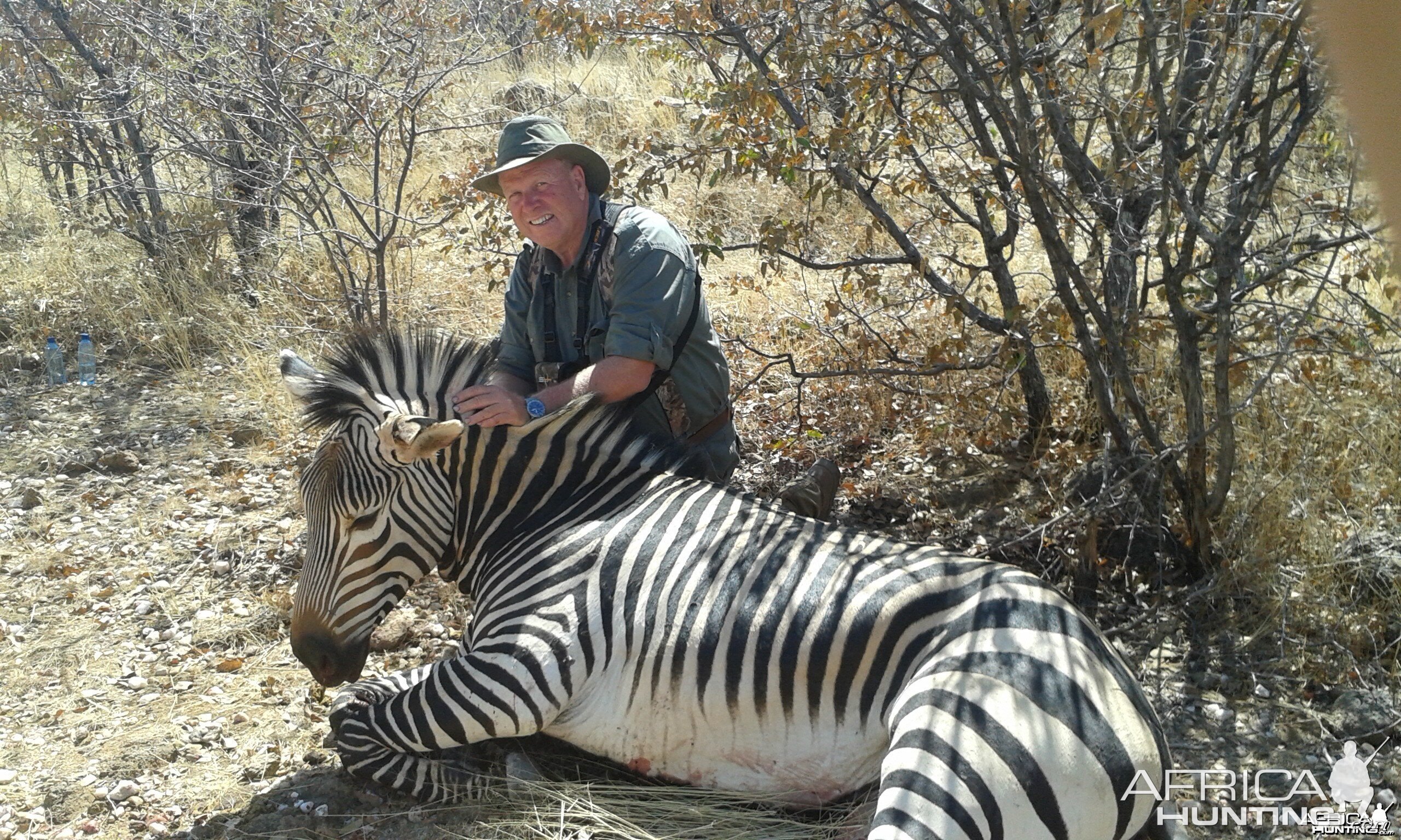 Hartmann's Mountain Zebra