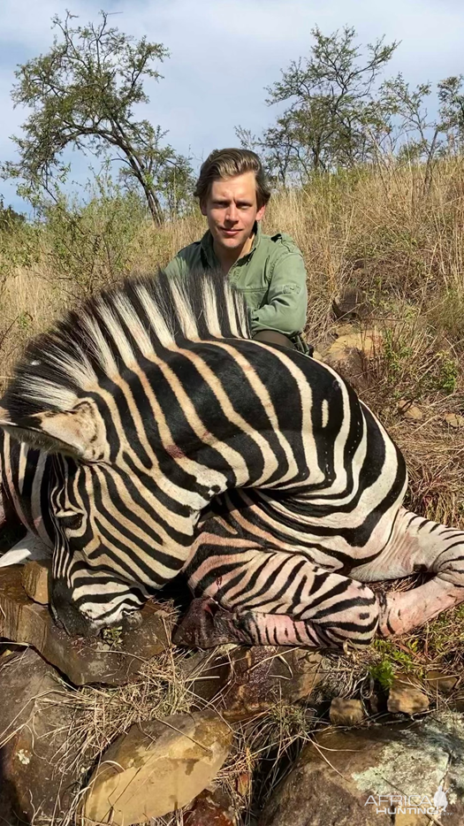 Hartmann's Zebra Hunt Eastern Cape South Africa