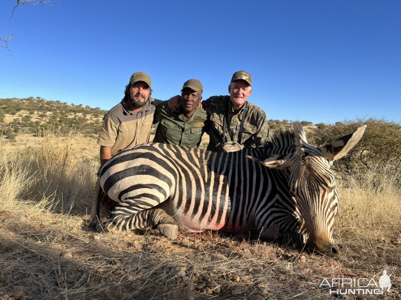 Hartmann's Zebra Hunt Namibia