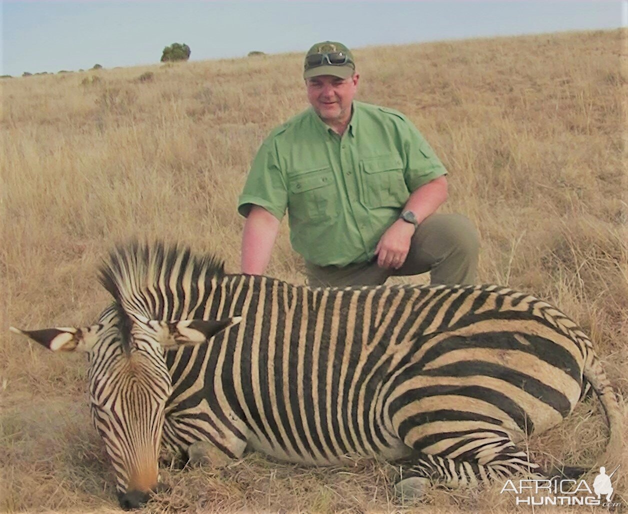 Hartmann's Zebra Hunt South Africa