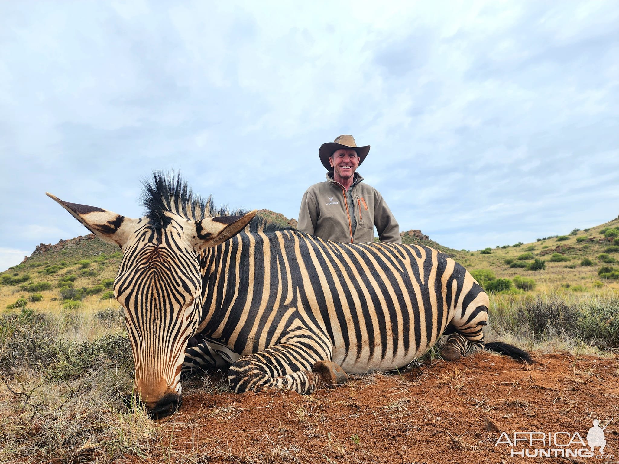 Hartmann's Zebra Hunt South Africa