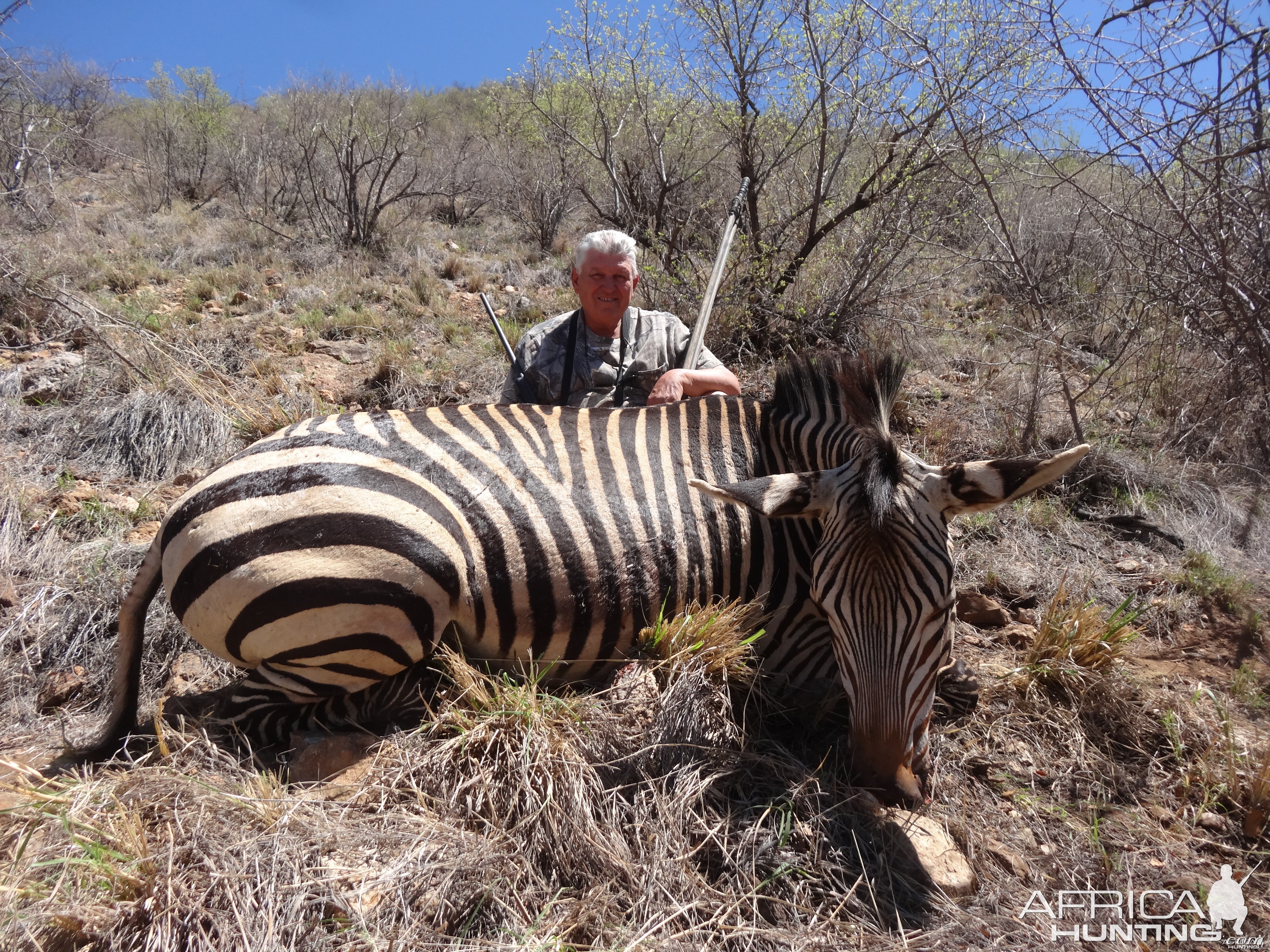 Hartmann's Zebra hunted with Ozondjahe Hunting Safaris in Namibia