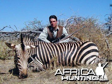 Hartmann's Zebra (Mountain Zebra) Namibia