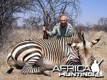 Hartmann's Zebra (Mountain Zebra) Namibia