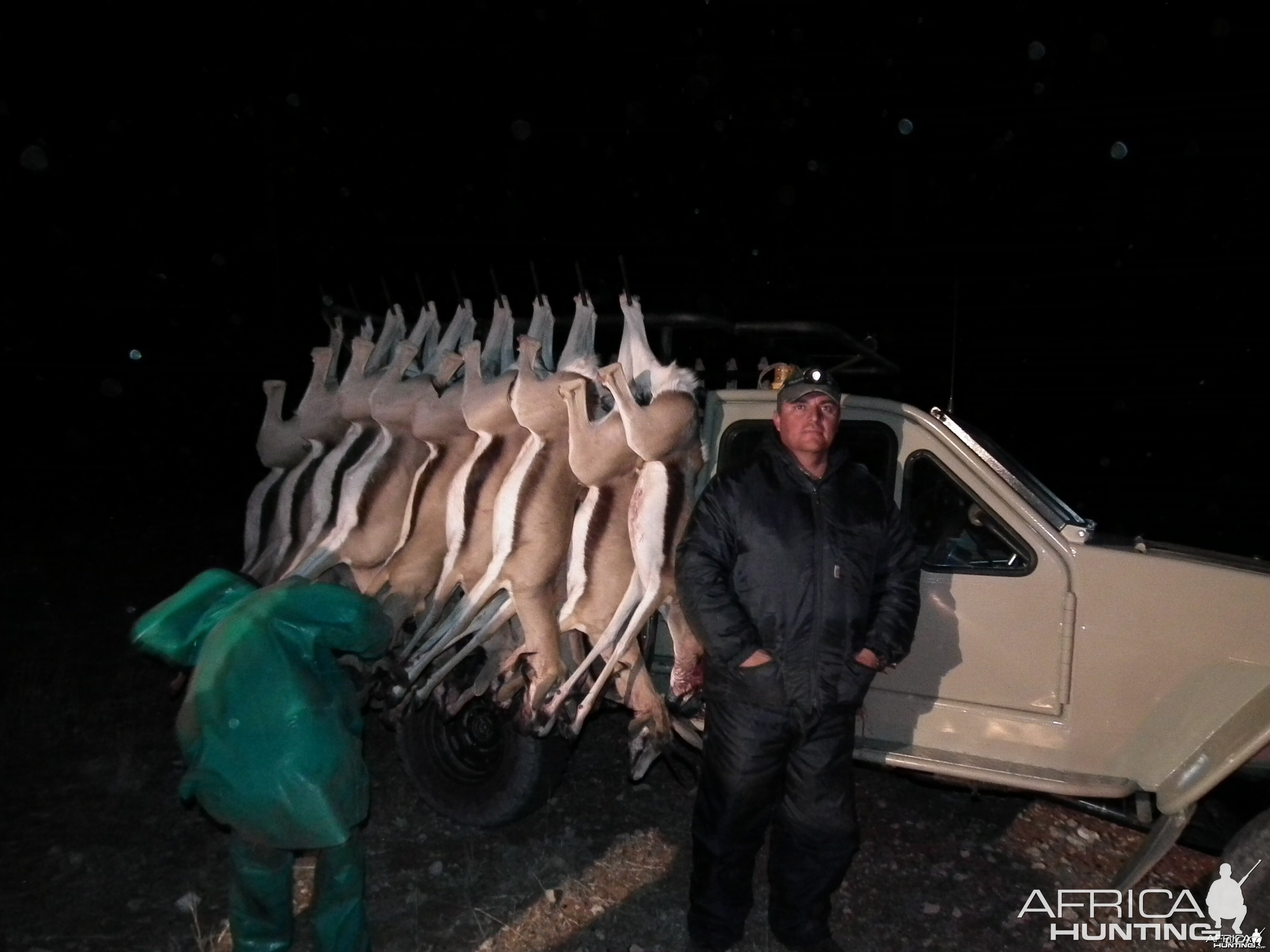 Harvesting vehicle with culled animals (32)