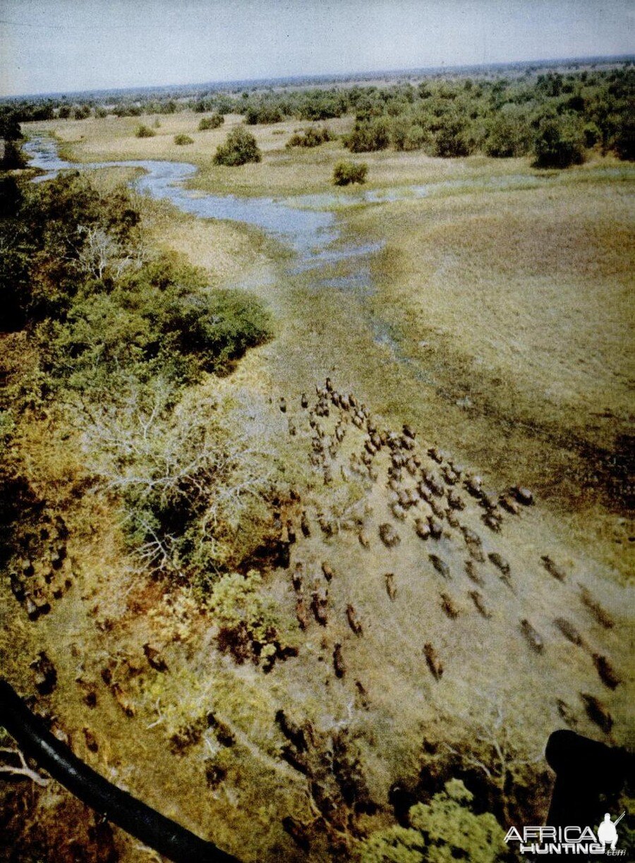 Helicopter Safari in Africa