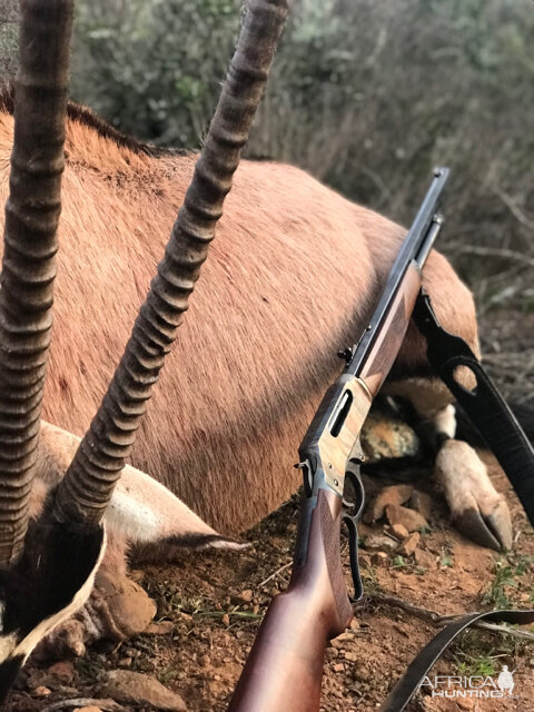 Henry 45/70 Lever-action Rifle with open sights