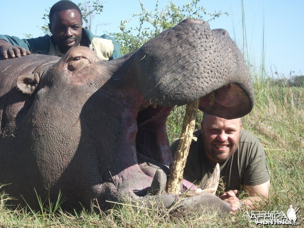 Hippo Caprivi