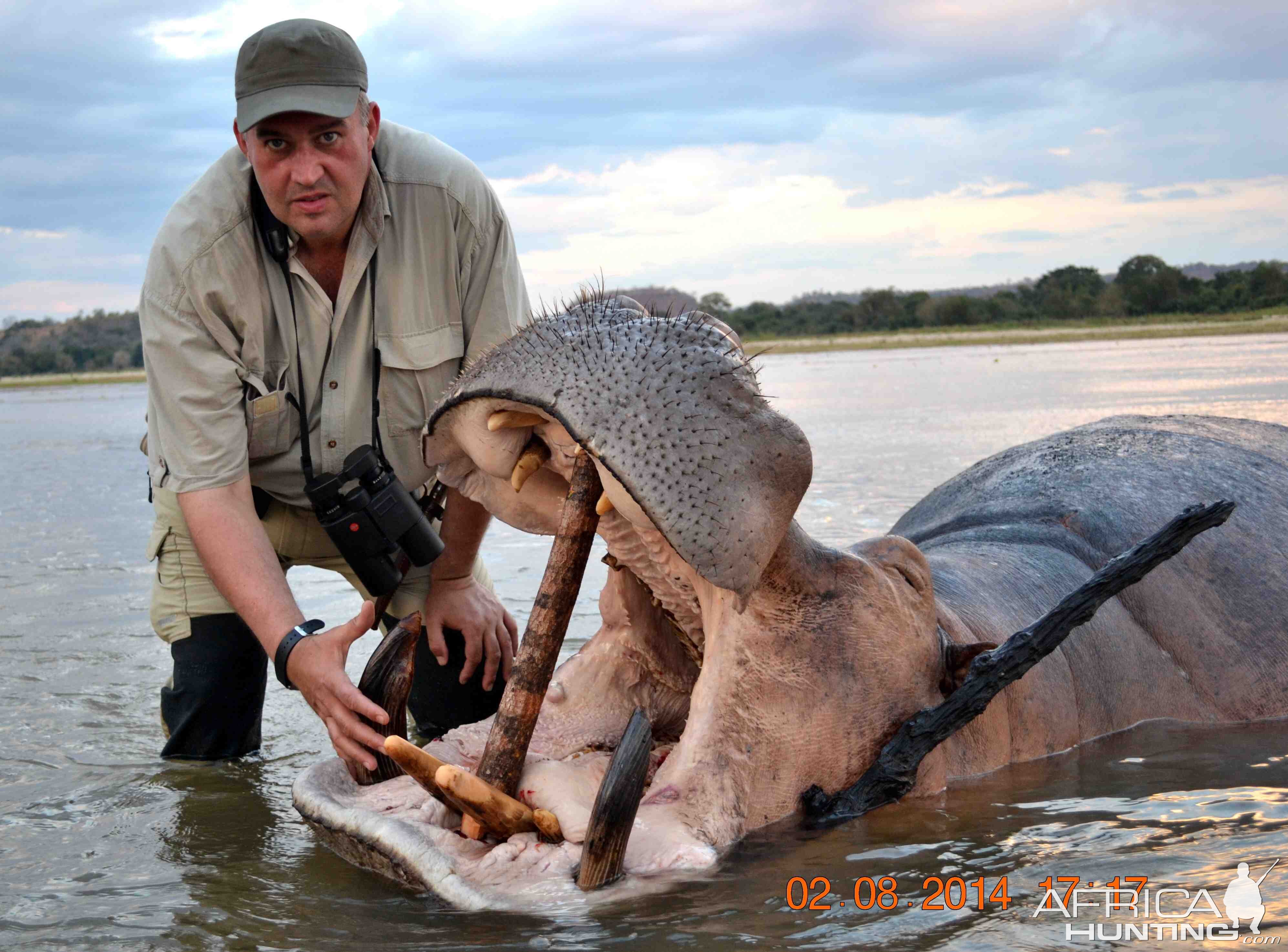 HIPPO Hunt Available for 2014